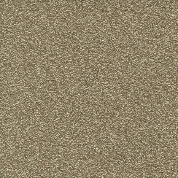 6562-07 Intuition - Caramel Latte Swatch