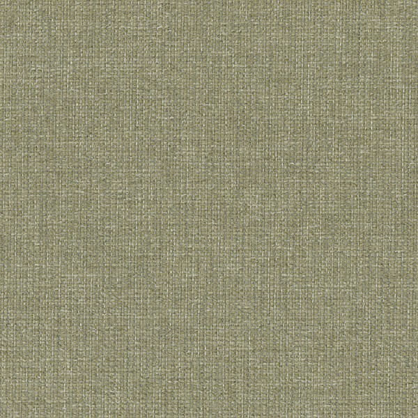 6580-04 Riverbank - Moss Swatch