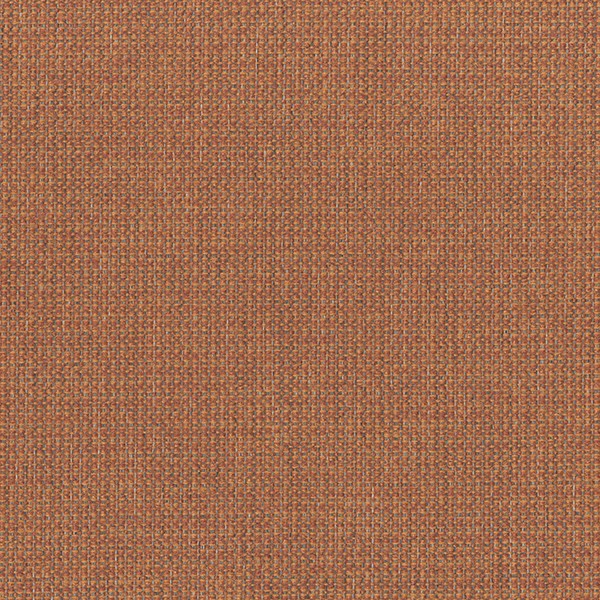 6580-06 Riverbank - Red Clay Swatch