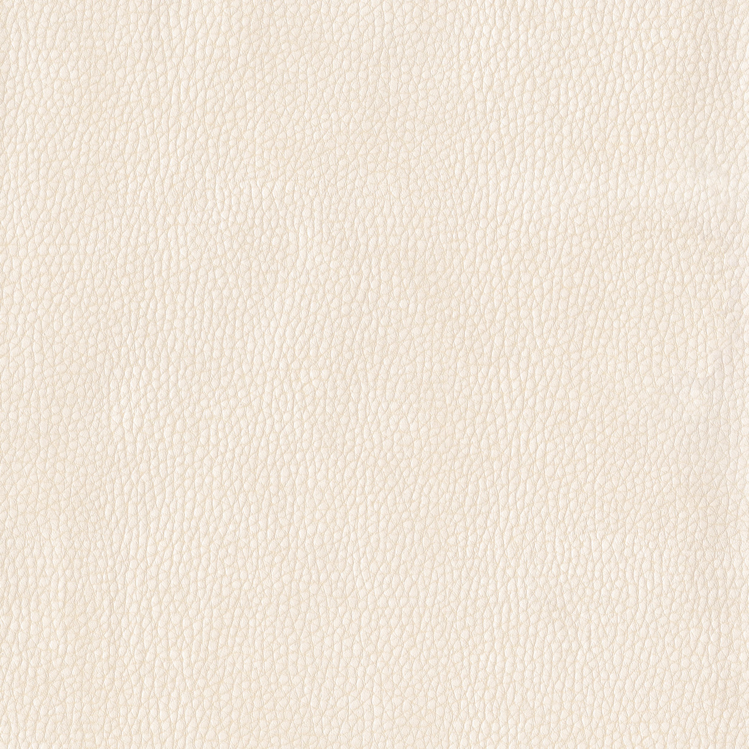 6812-01 Corinthian - Buttermilk Swatch