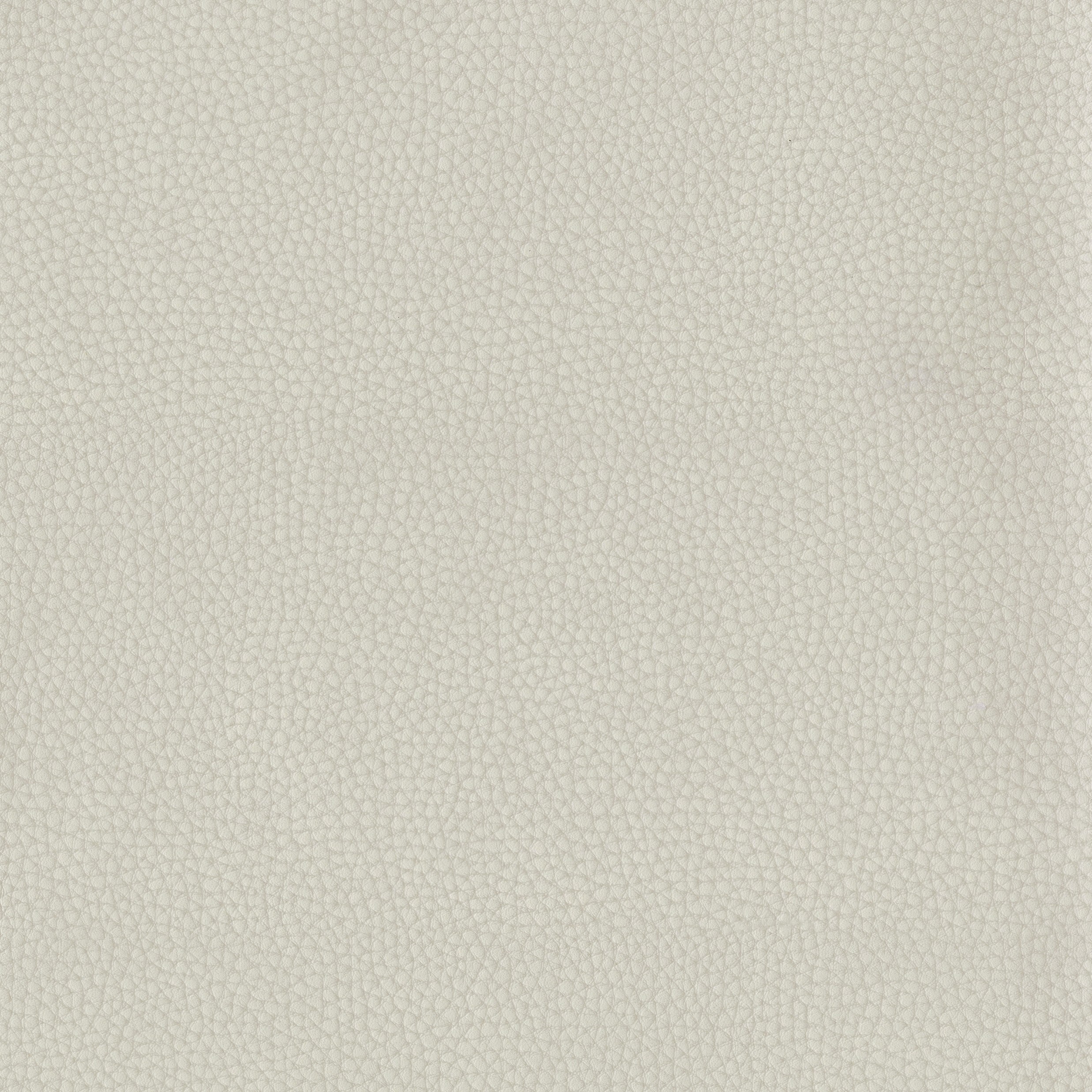 6812-02 Corinthian - Mercury Glass Swatch