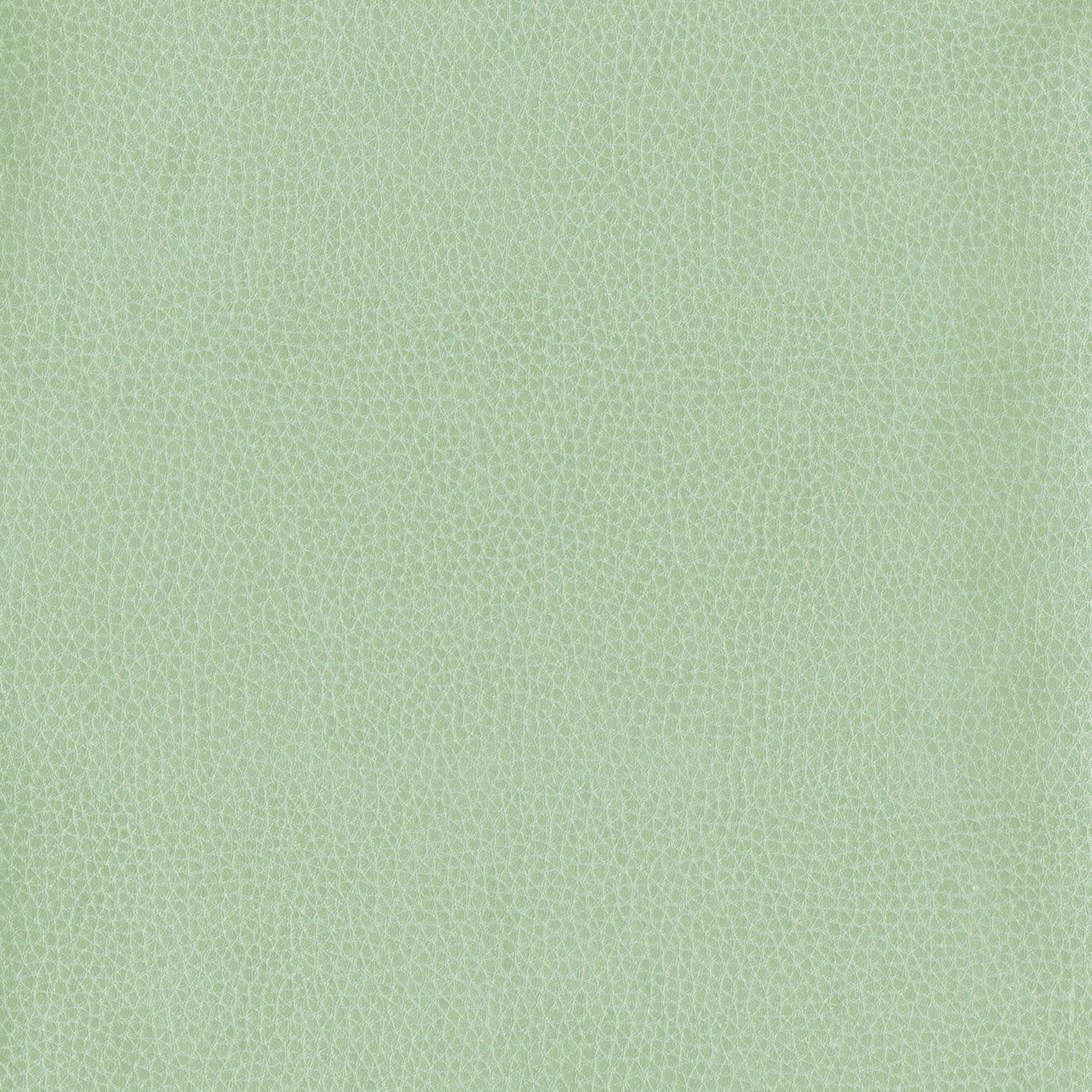 6812-03 Corinthian - Spearmint Swatch