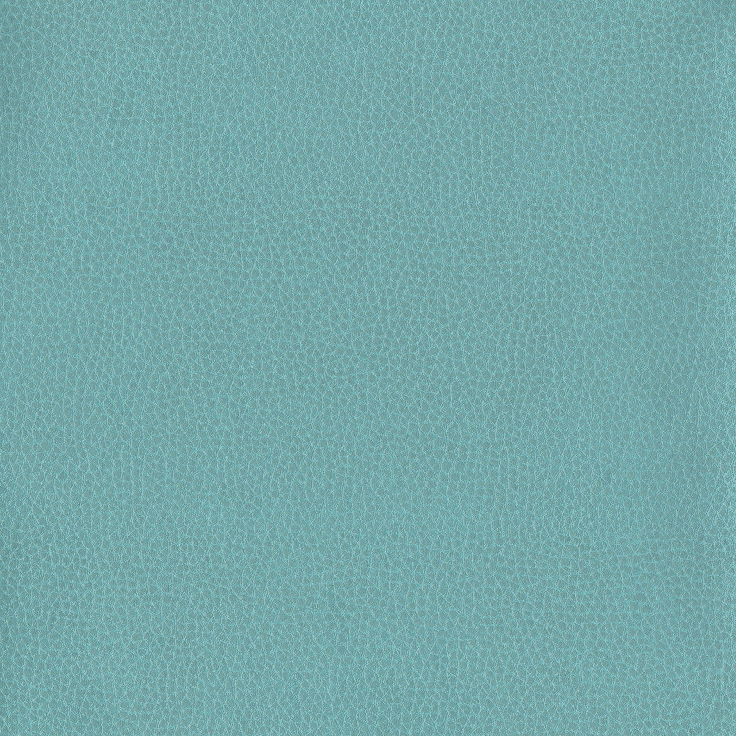 6812-04 Corinthian - Caribbean Swatch