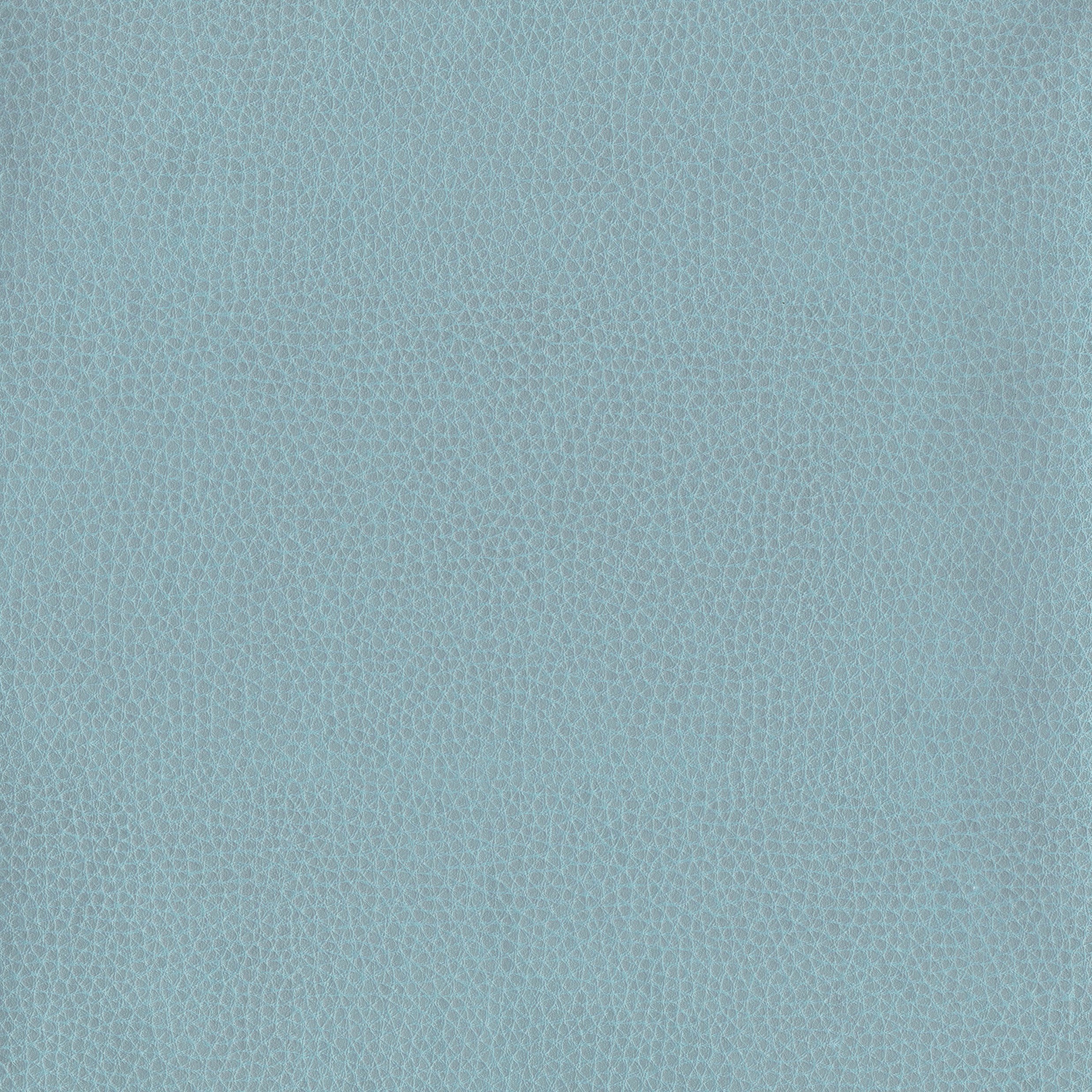 6812-05 Corinthian - After Rain Swatch