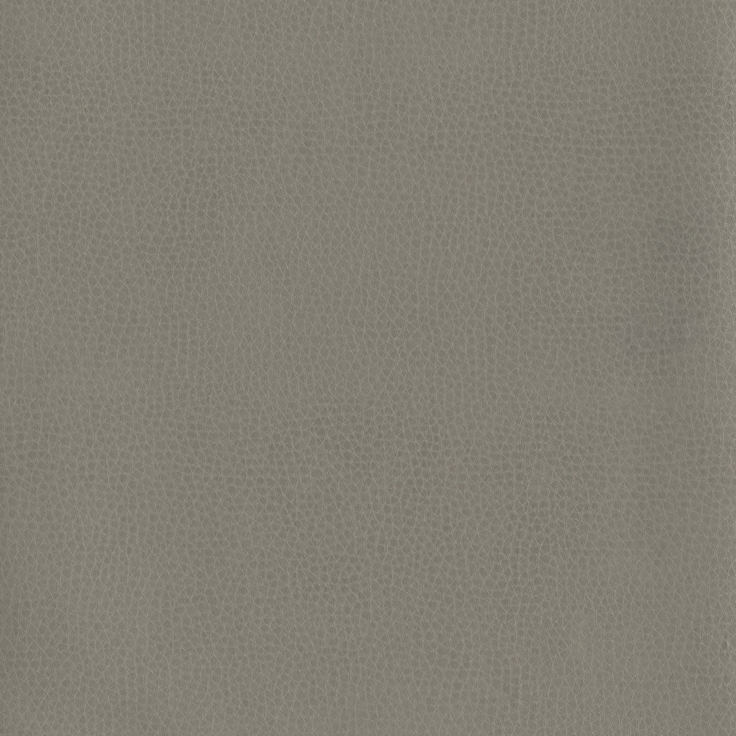 6812-07 Corinthian - Bedrock Swatch