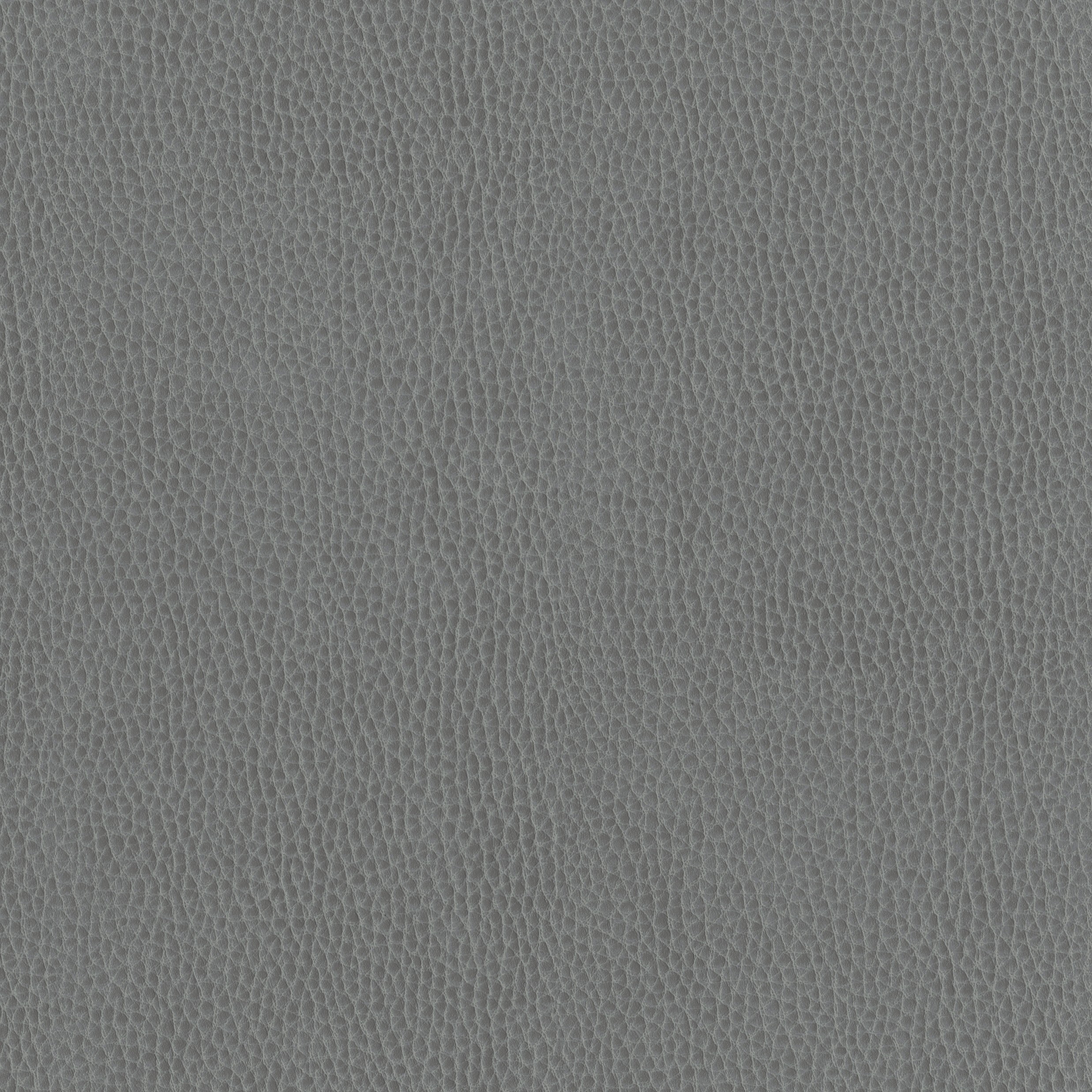 6812-09 Corinthian - Cinders Swatch