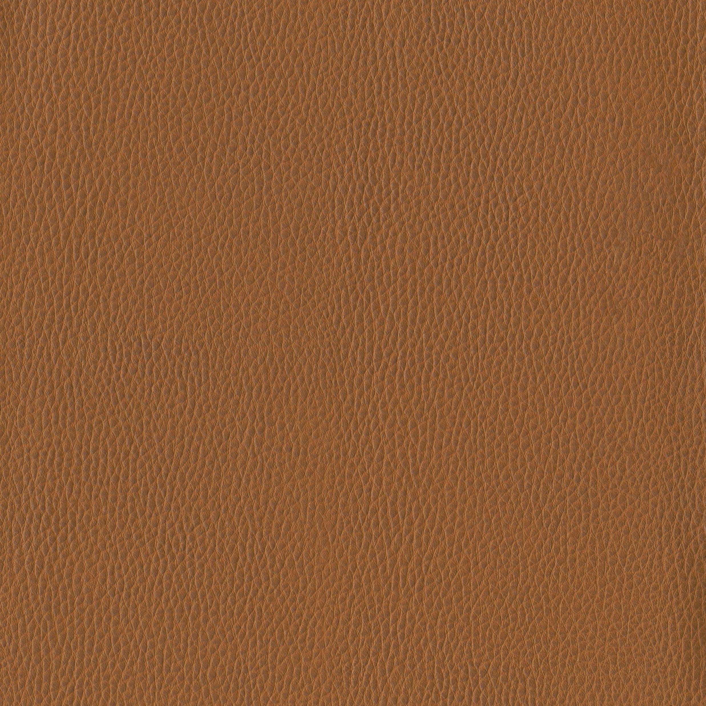 6812-10 Corinthian - Cognac Swatch
