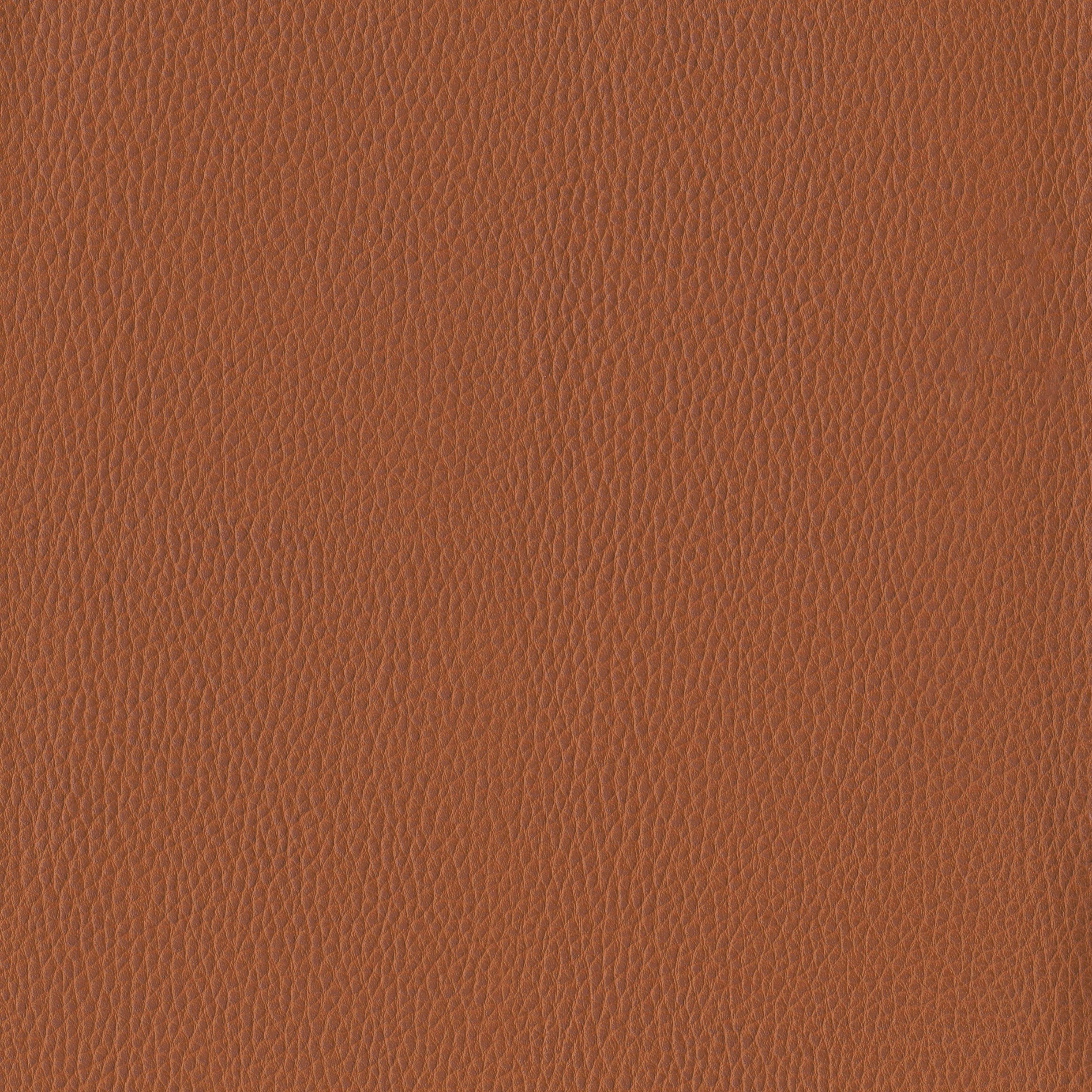 6812-11 Corinthian - Canyon Swatch