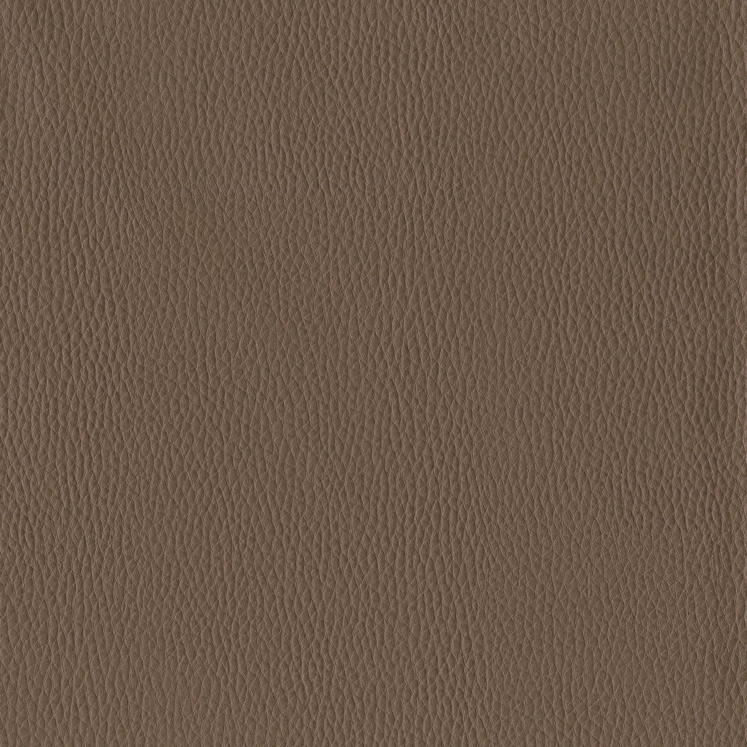 6812-12 Corinthian - Otter Swatch
