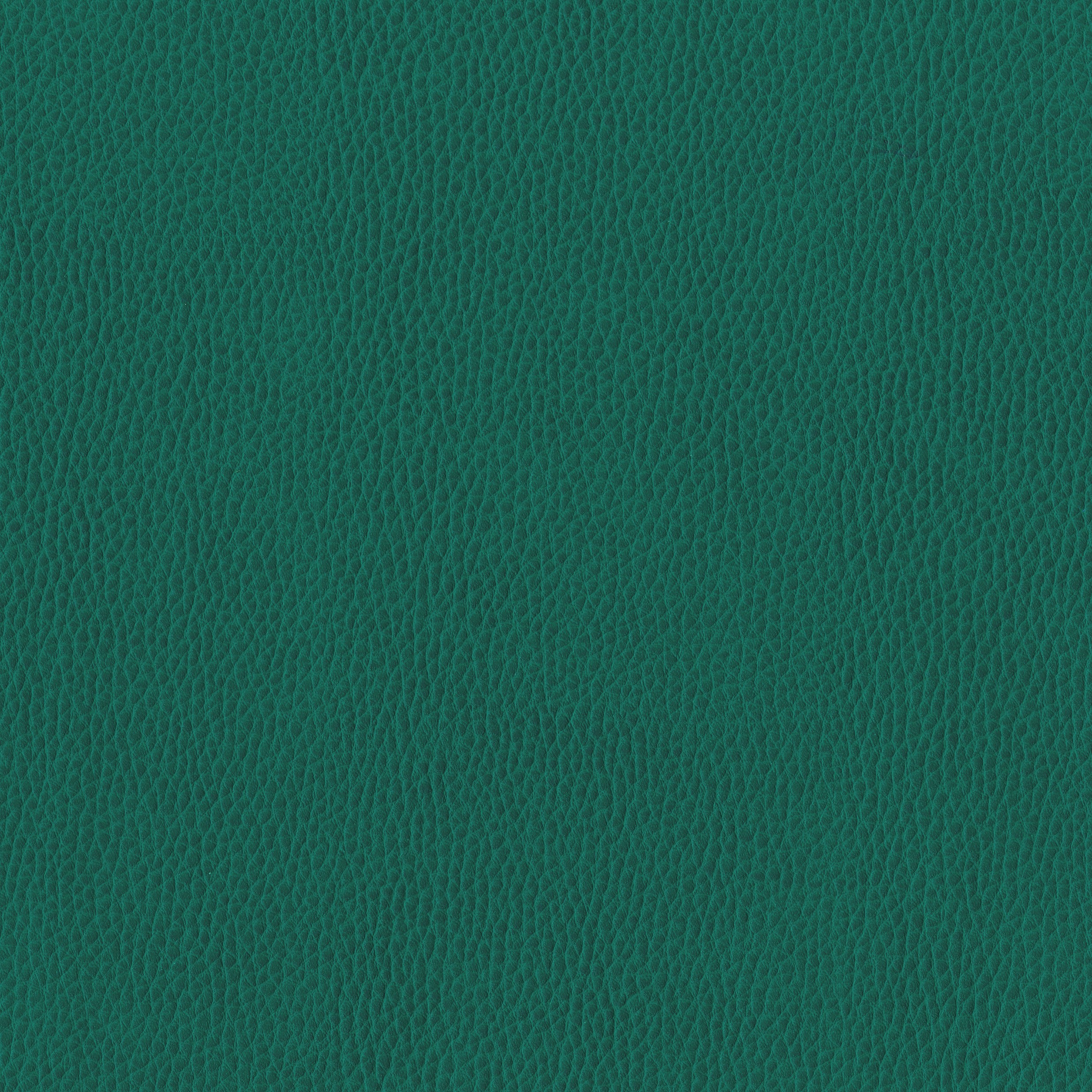 6812-14 Corinthian - Spruce Swatch