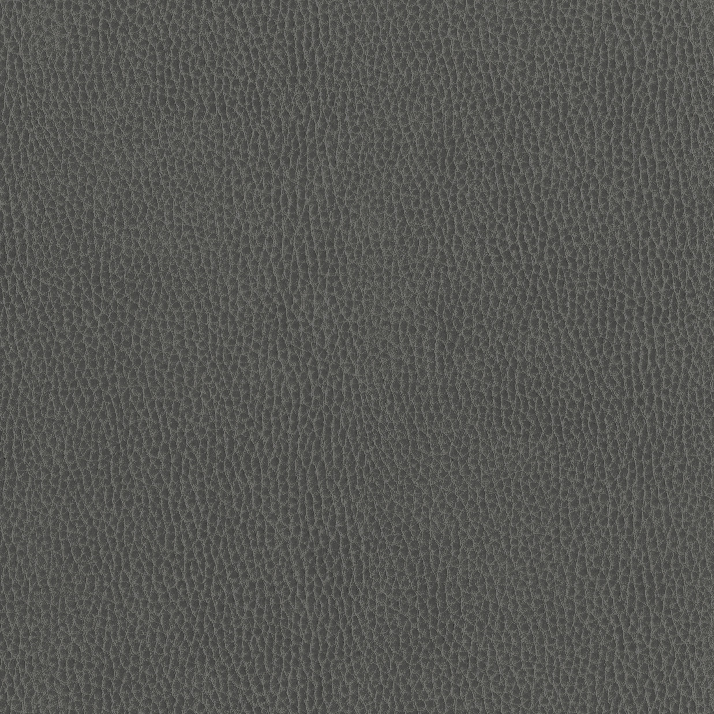 6812-16 Corinthian - Graphite Swatch