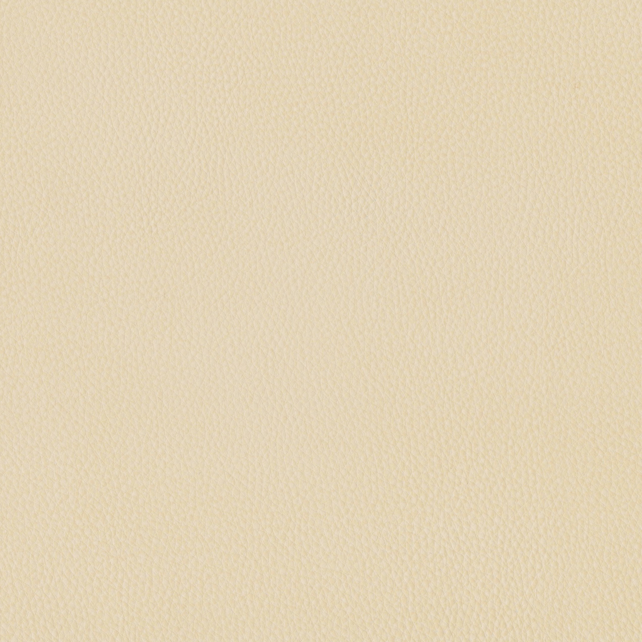 6825-01 Aldrin - Milk and Honey Swatch