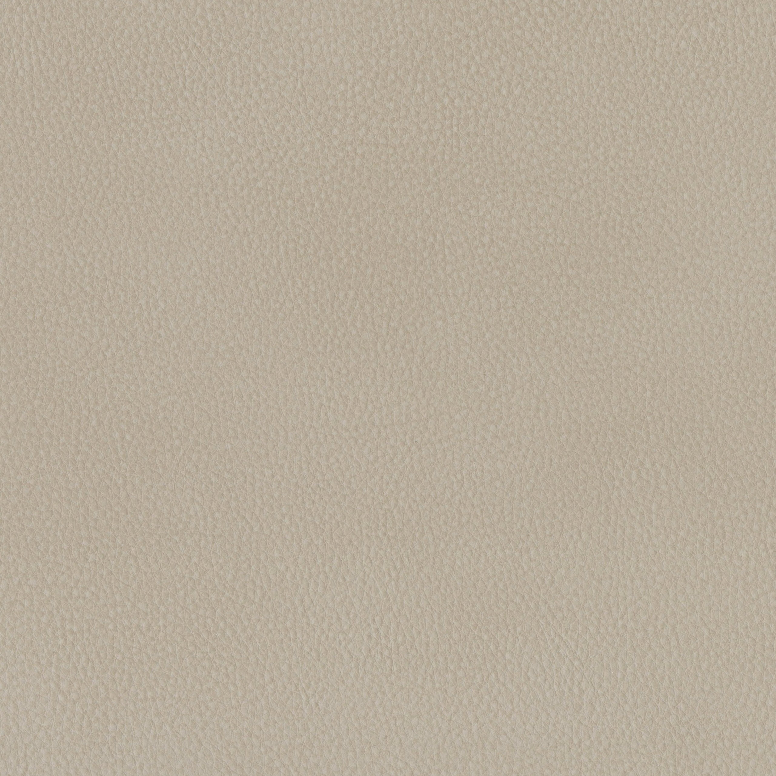 6825-03 Aldrin - Linen Swatch 