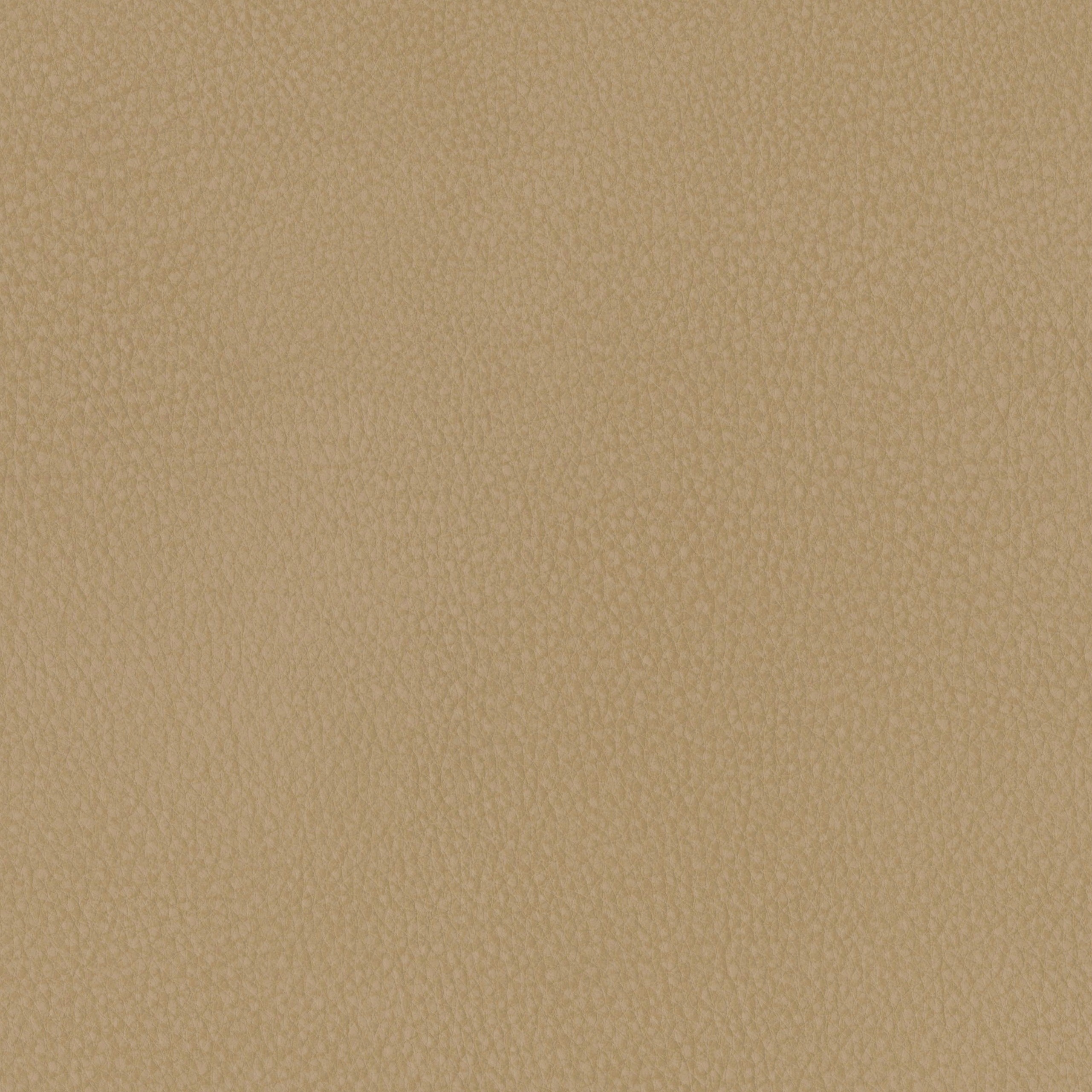 6825-04 Aldrin - Pie Crust Swatch