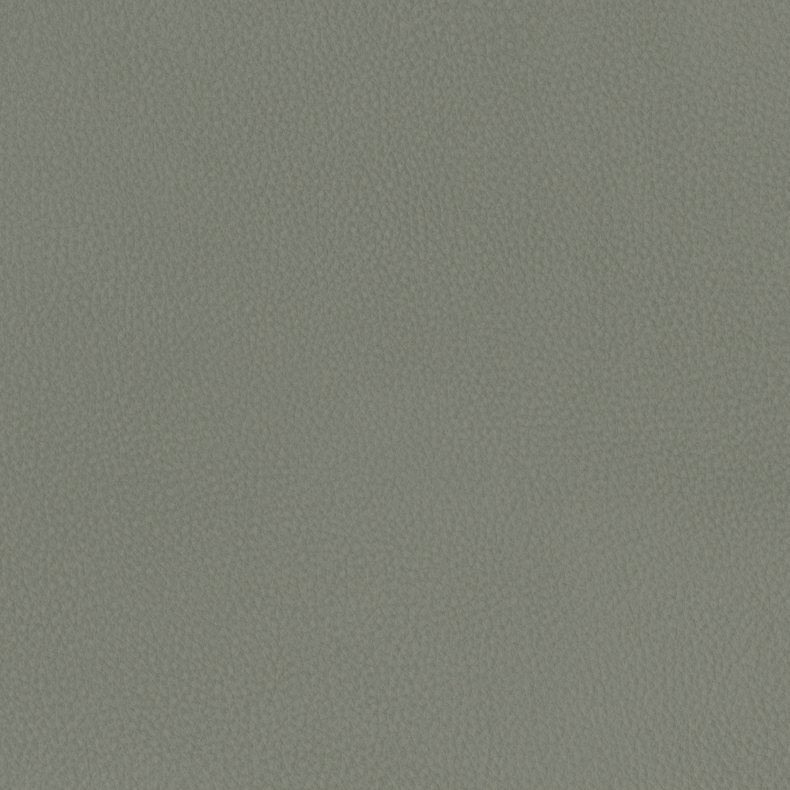 6825-07 Aldrin - Scotch Thistle Swatch