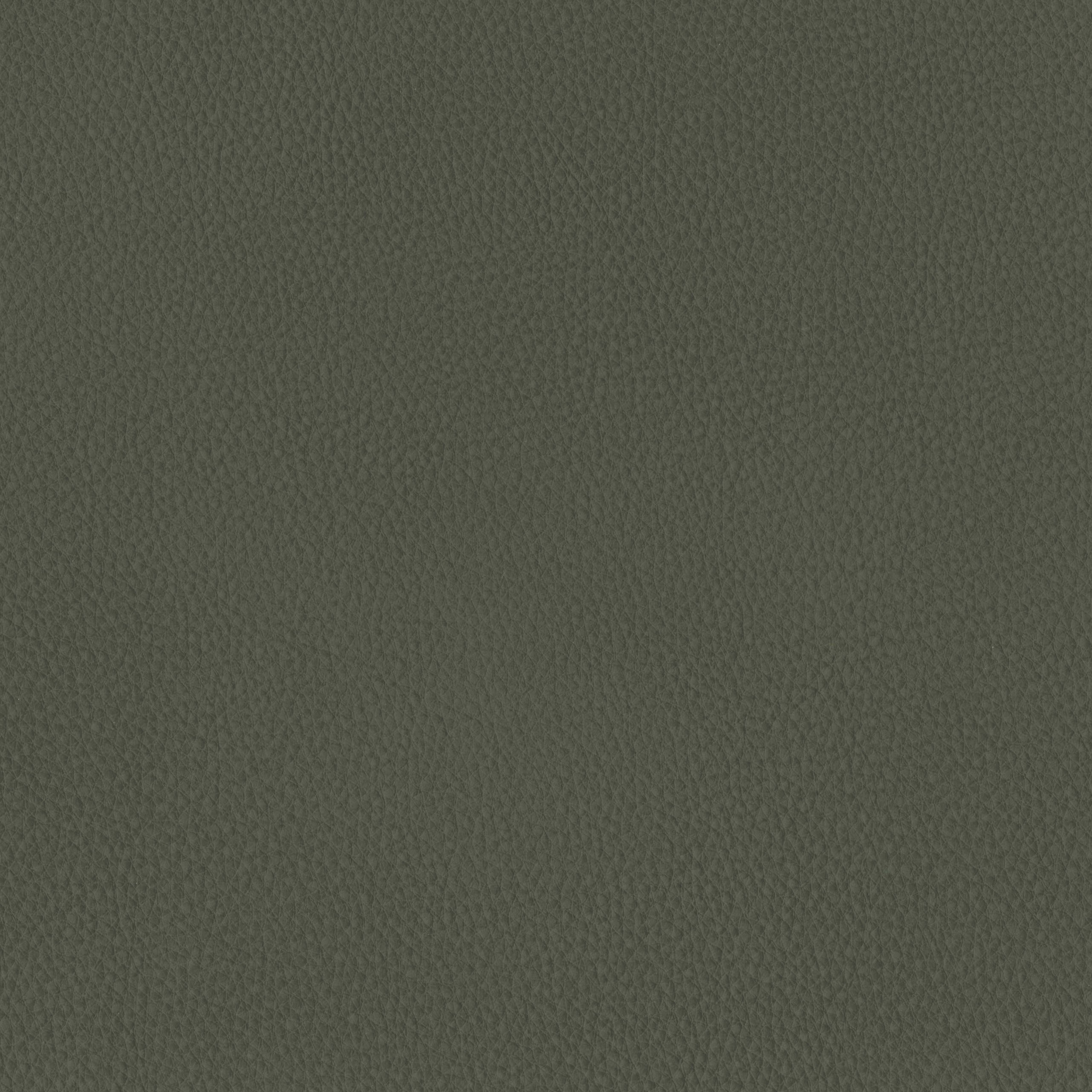6825-08 Aldrin - Rubber Tree Swatch