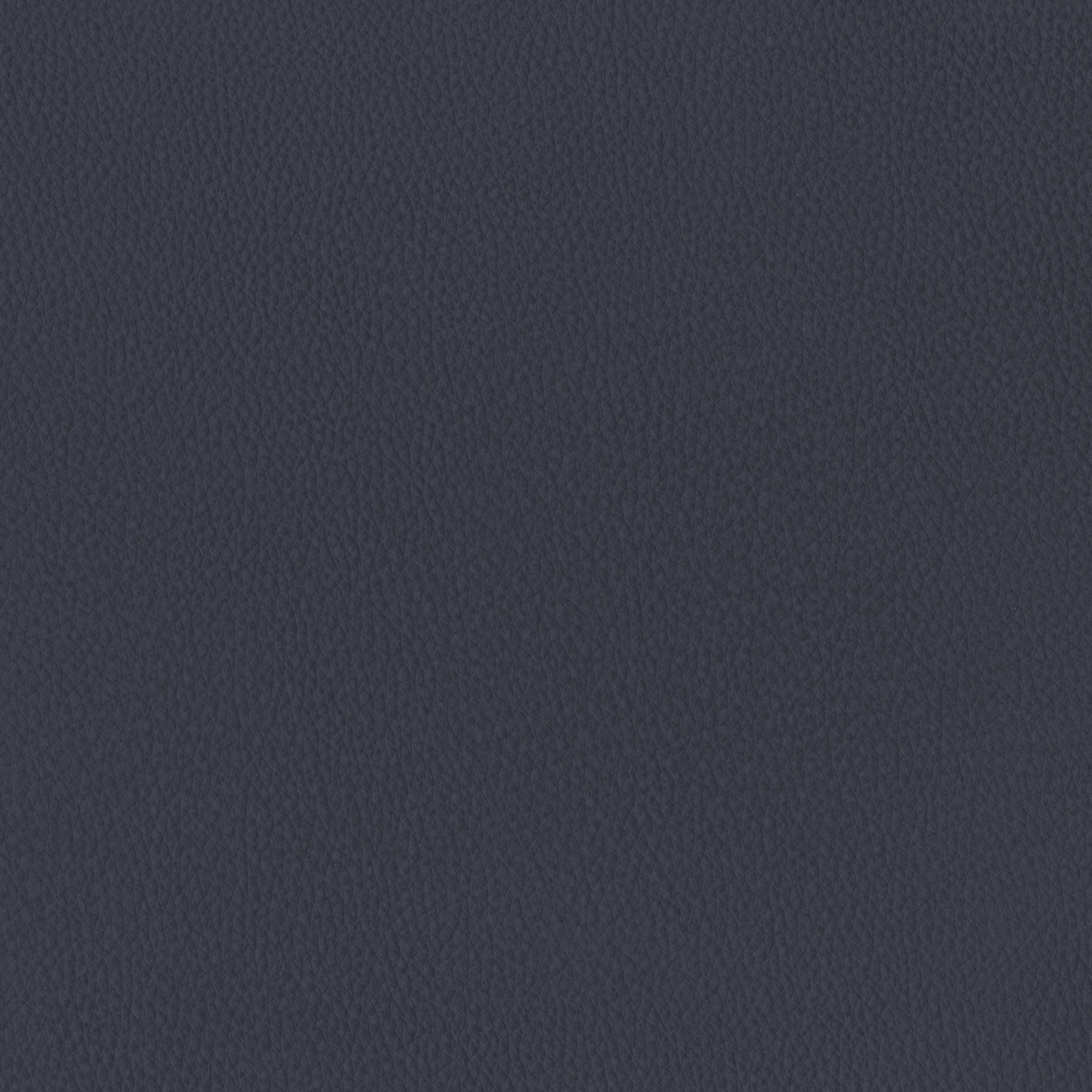 6825-09 Aldrin - Oxford Navy Swatch