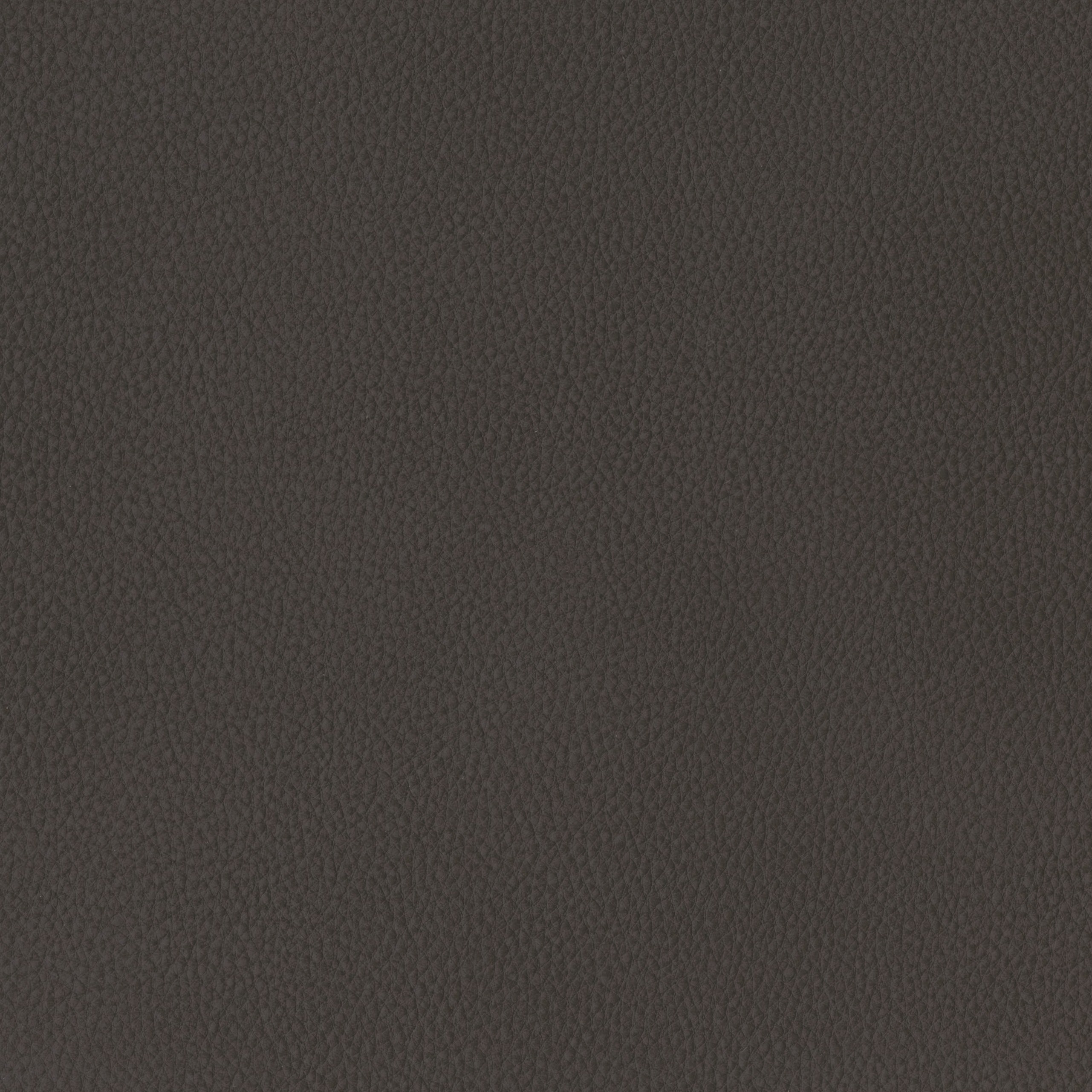 6825-10 Aldrin - Wine Truffle Swatch