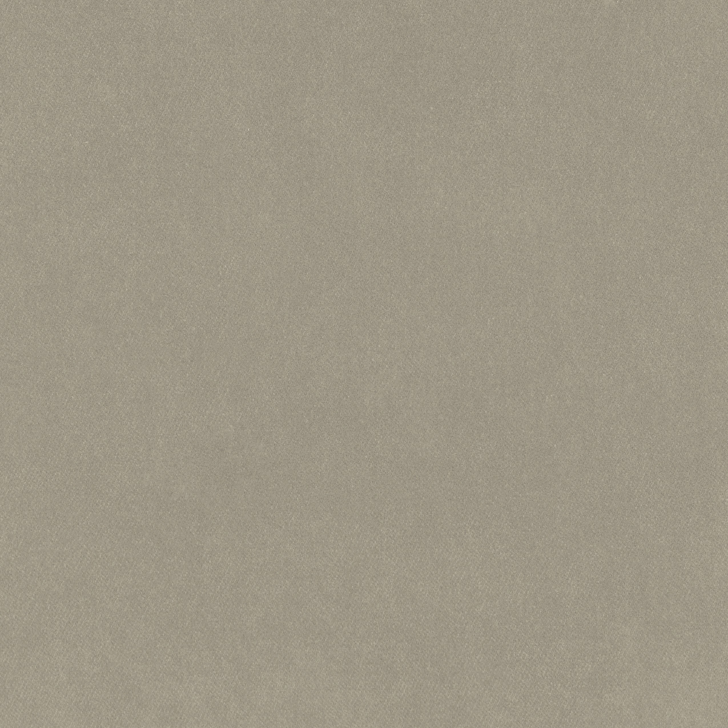 7210-02 Nalani - Chinchilla Swatch