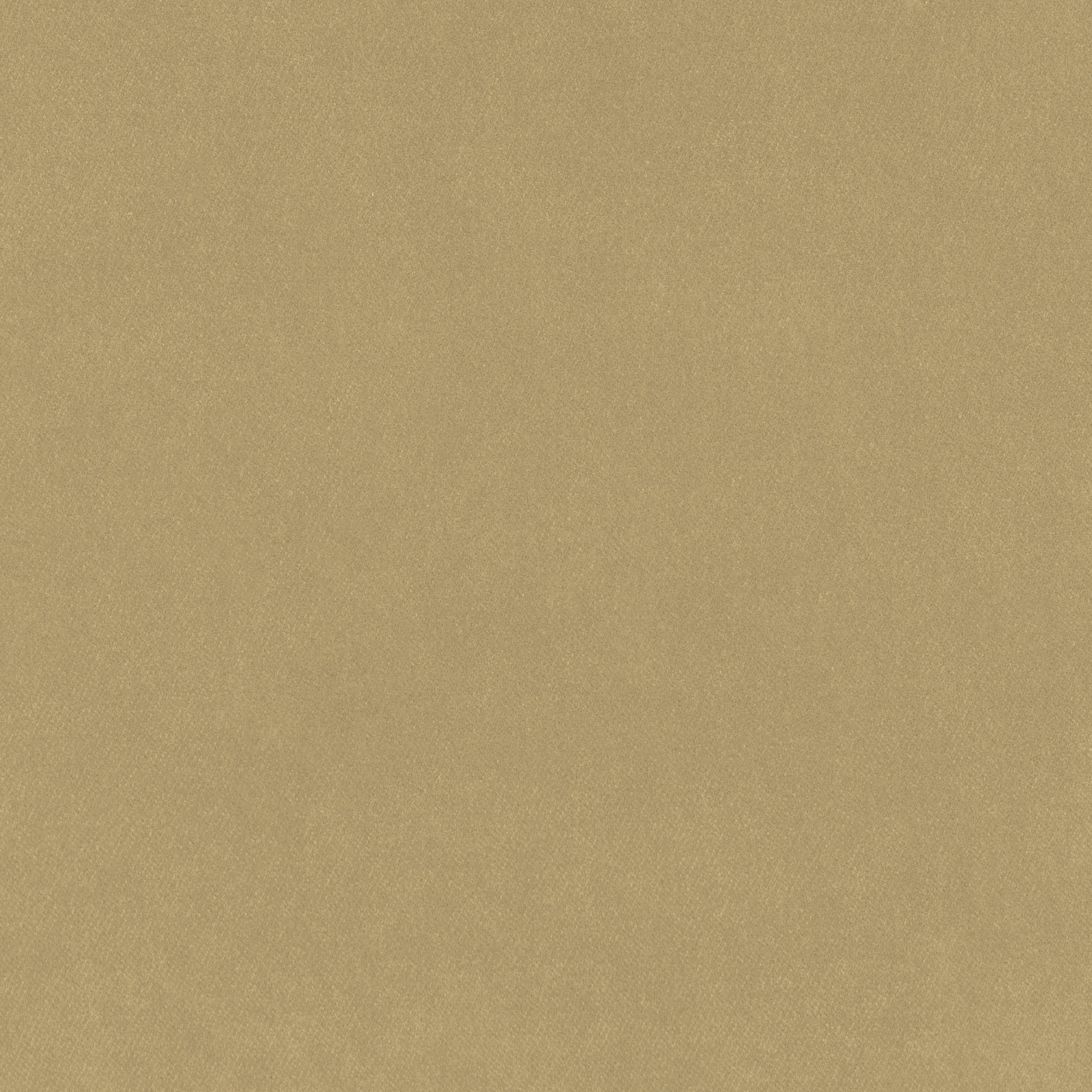 7210-04 Nalani - Lioness Swatch