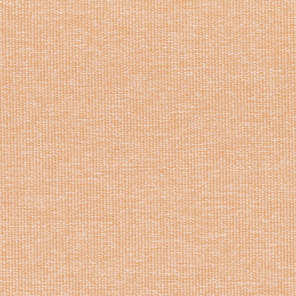 8103-01 Stillwater - Nectarine Swatch