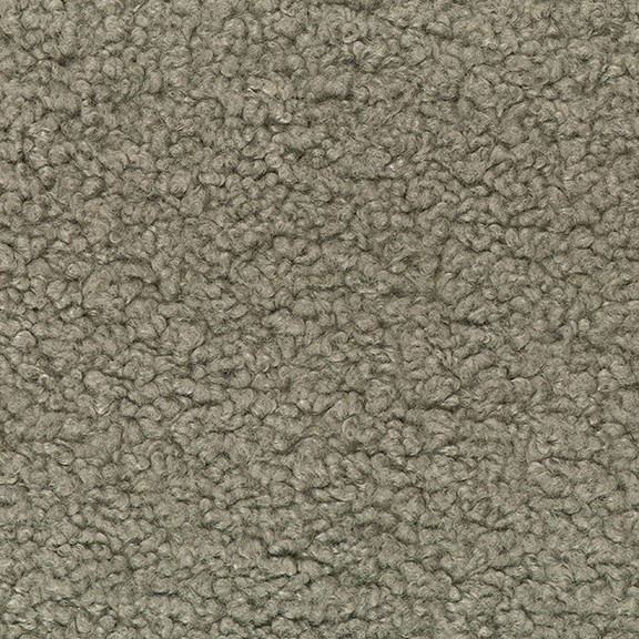 8581-04 Cheviot - Greyhound Swatch