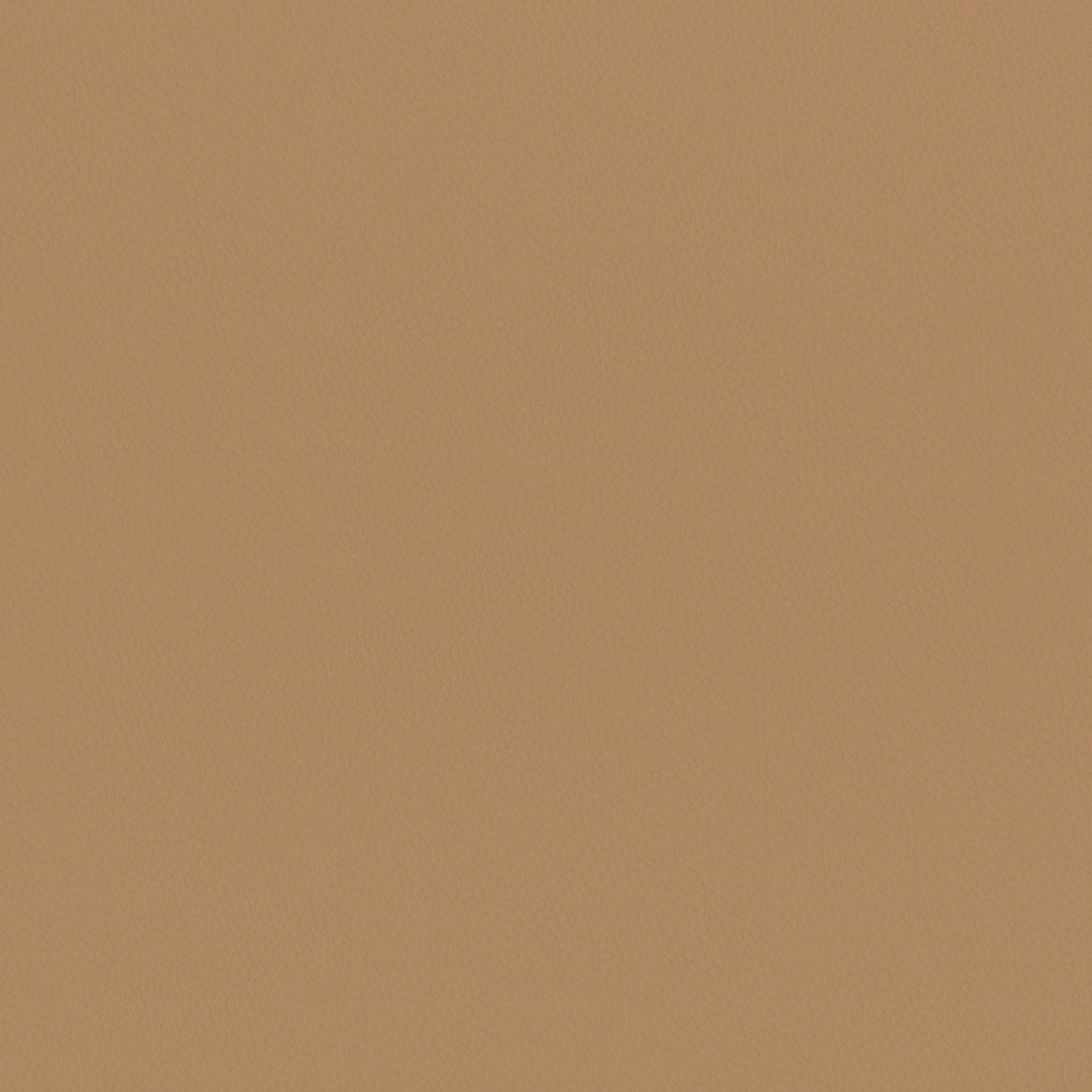 9414-15 Landscape - Buckskin Swatch