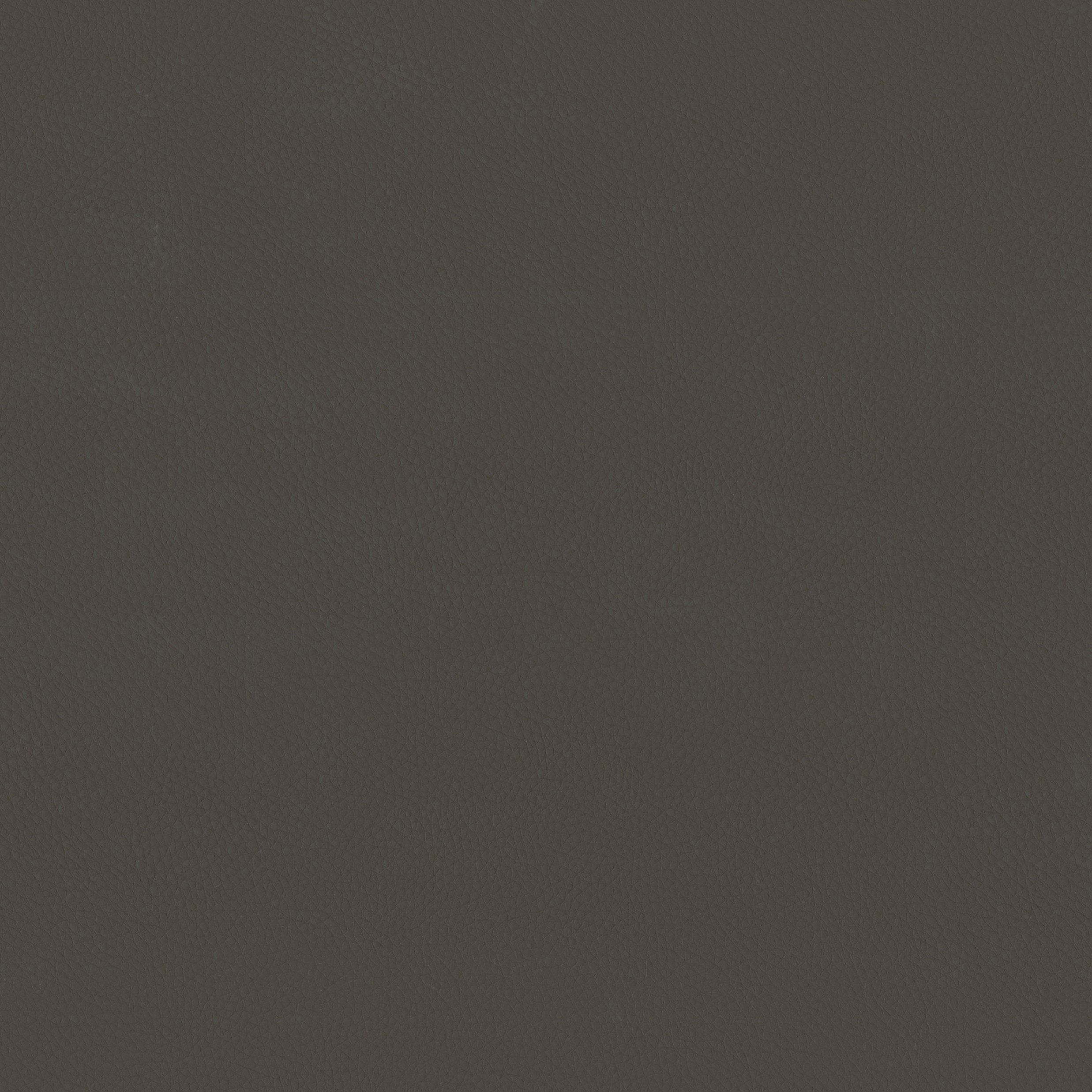 9414-22 Landscape - Moleskin Swatch