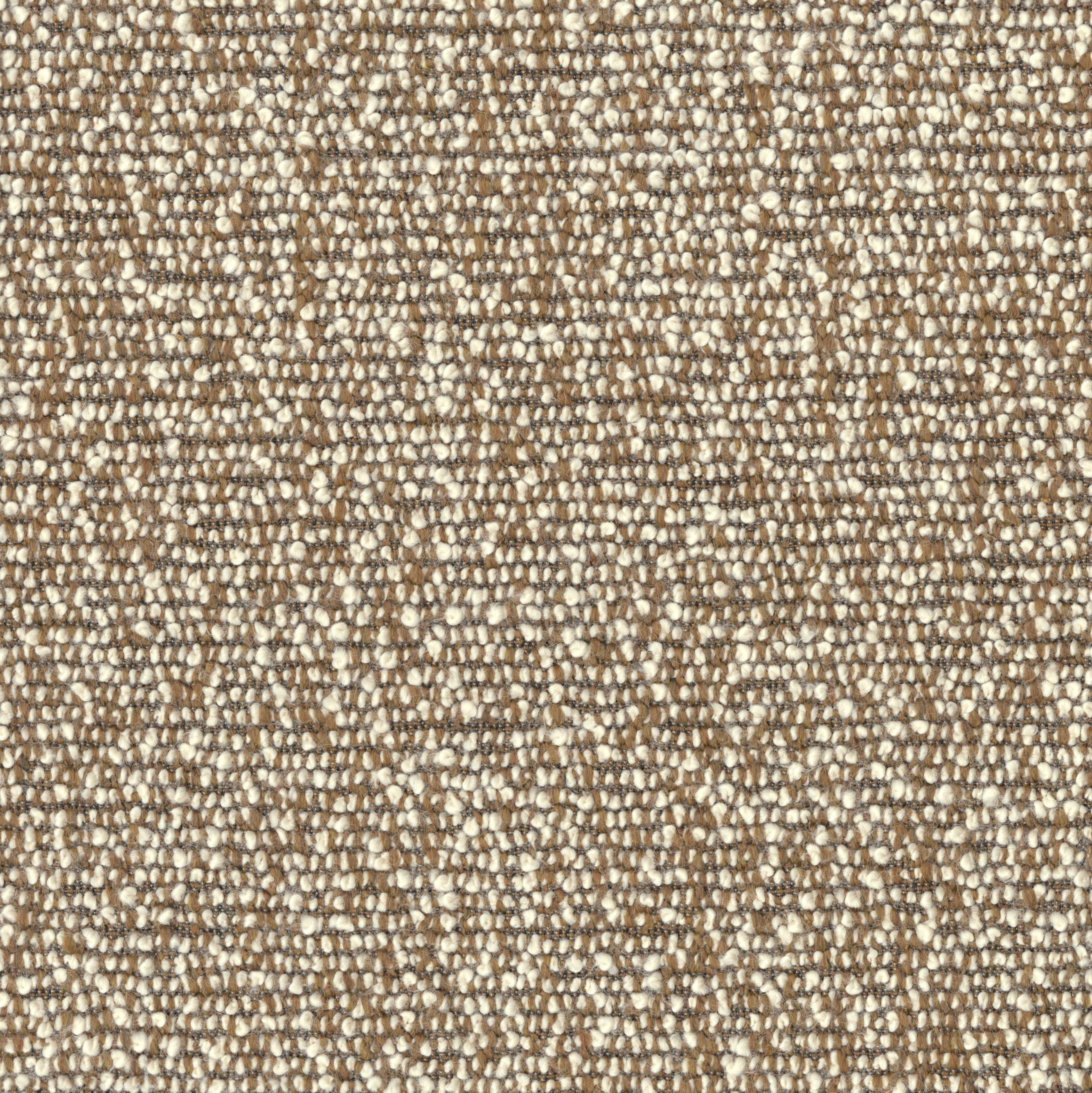 9660-04 Pappus - Golden Jackal Swatch