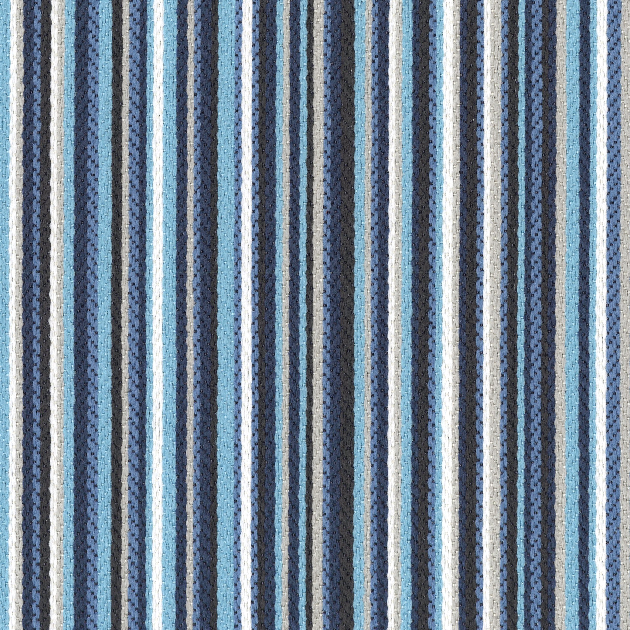 1253-04 Archie - Florida Jay Swatch