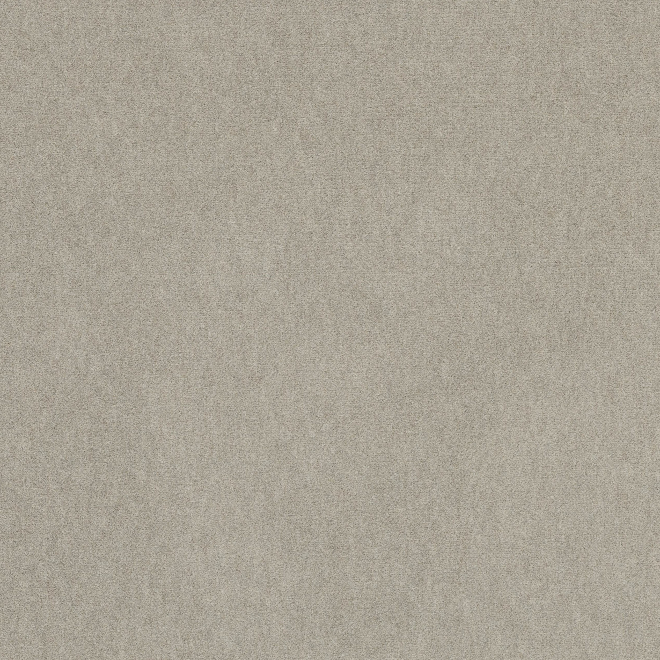 4236-02 Basal - Chinchilla Swatch 