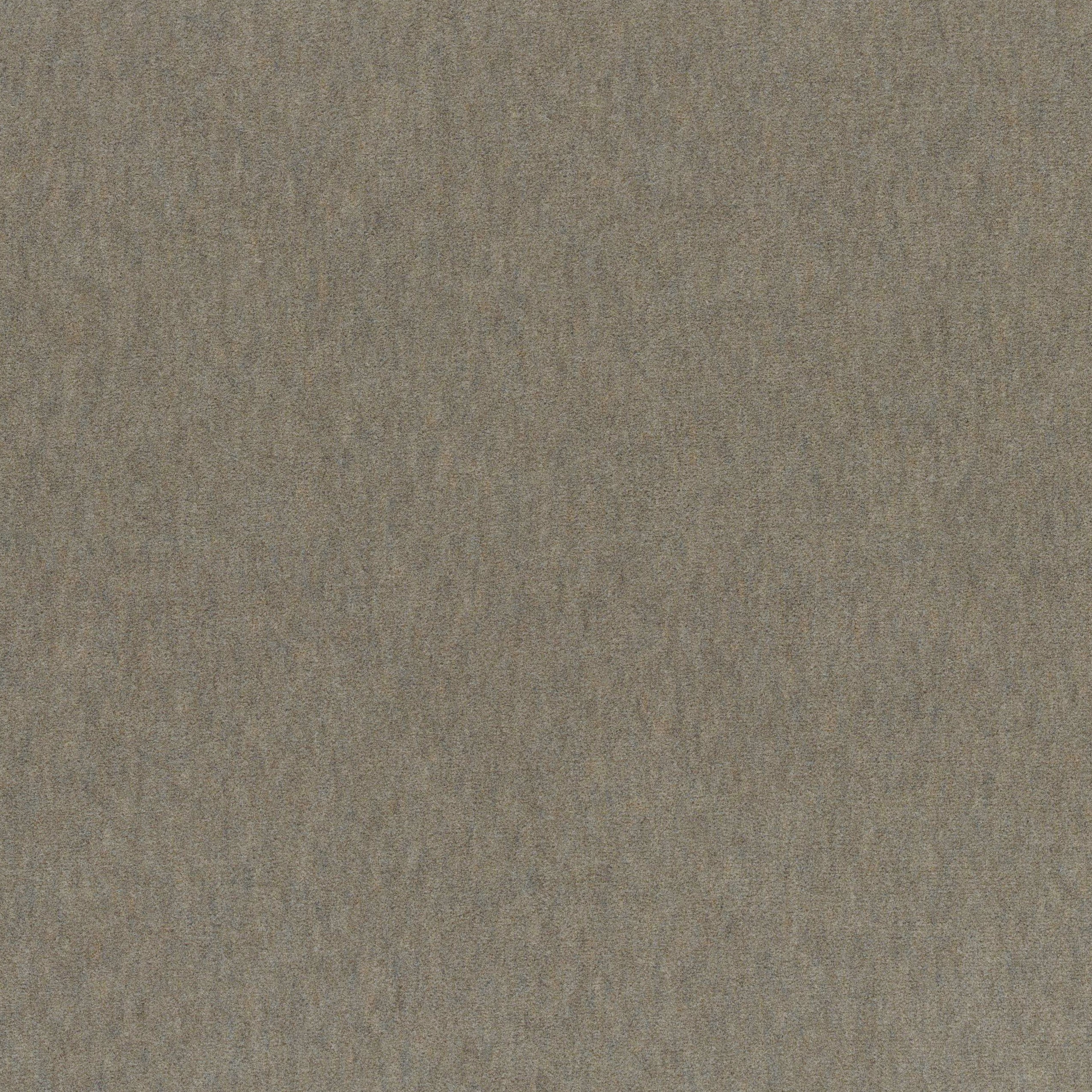 4236-03 Basal - Hippopotamus Swatch