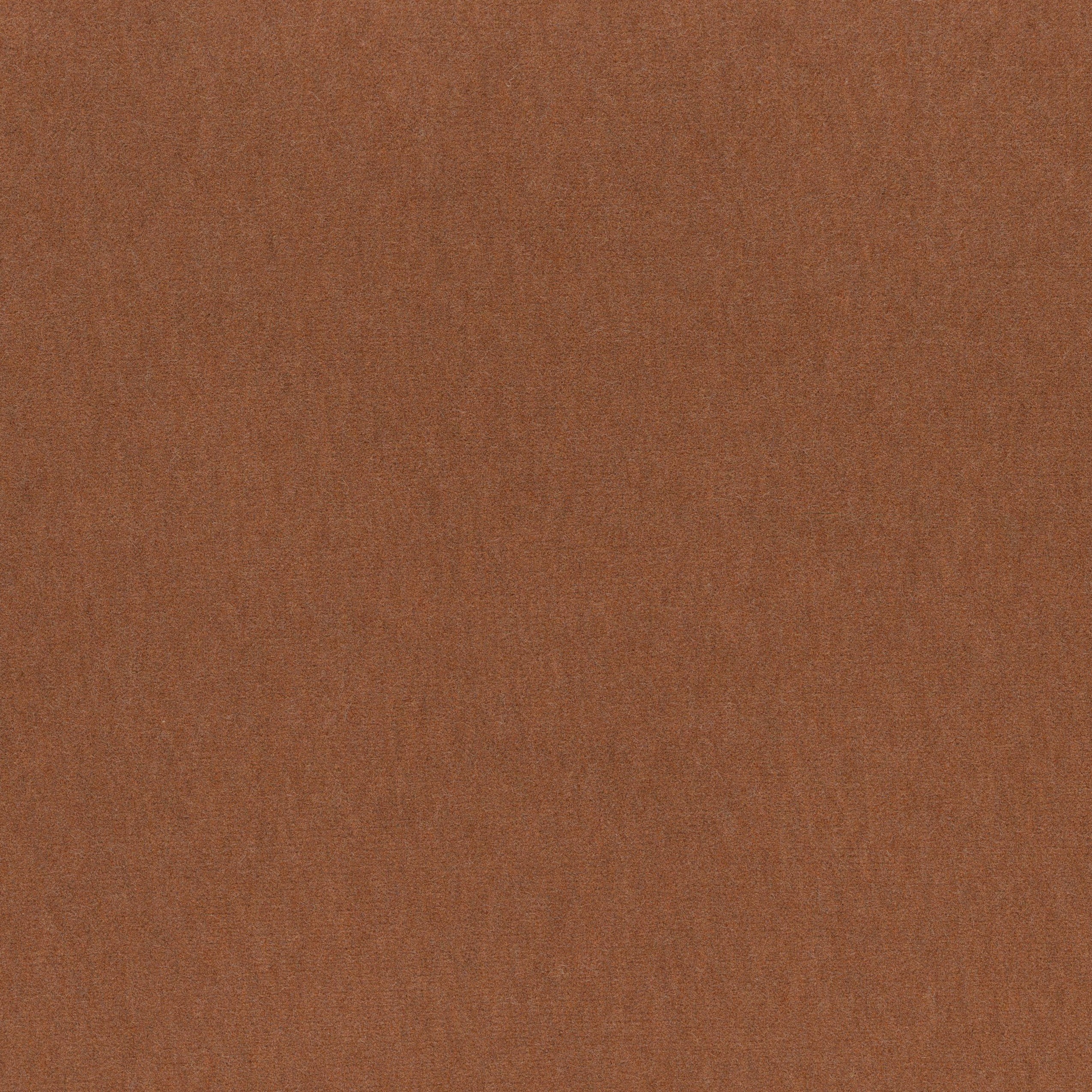 4236-05 Basal - Honey Sriracha Swatch