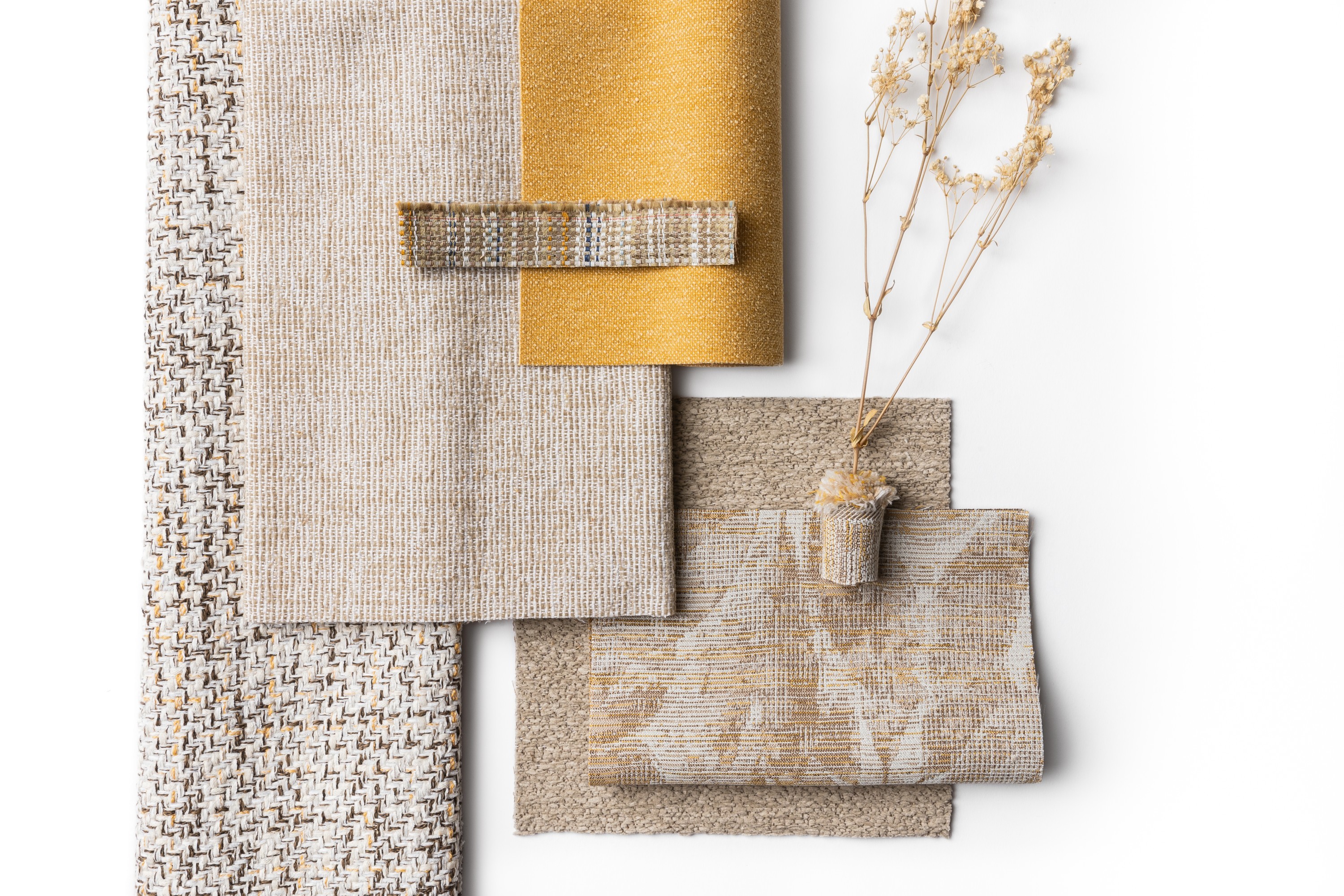 Harmony Collection Hero Image