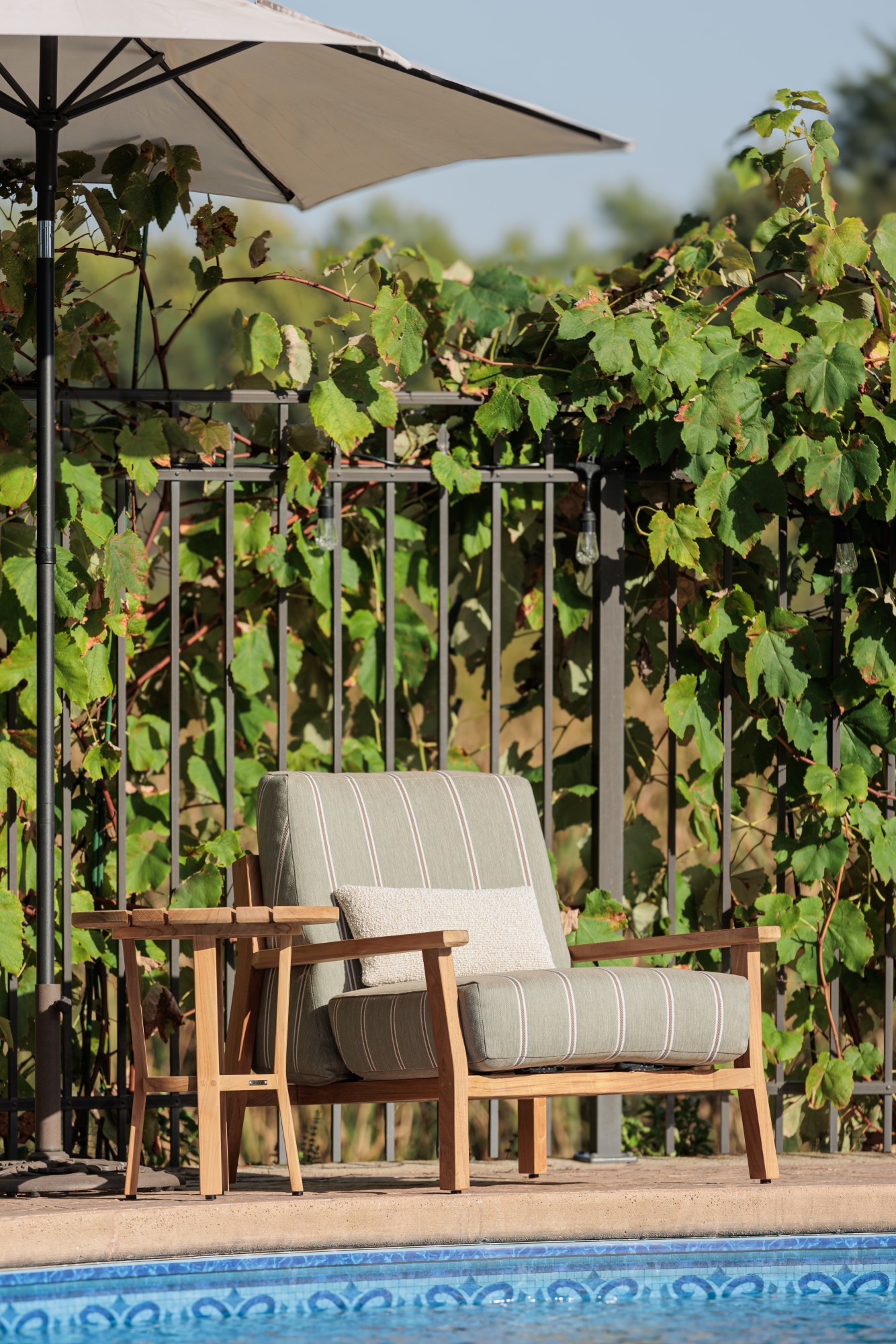 1216-04 Yori Aerophyte, 9660-03 Pappus Beige Lop Installation Image