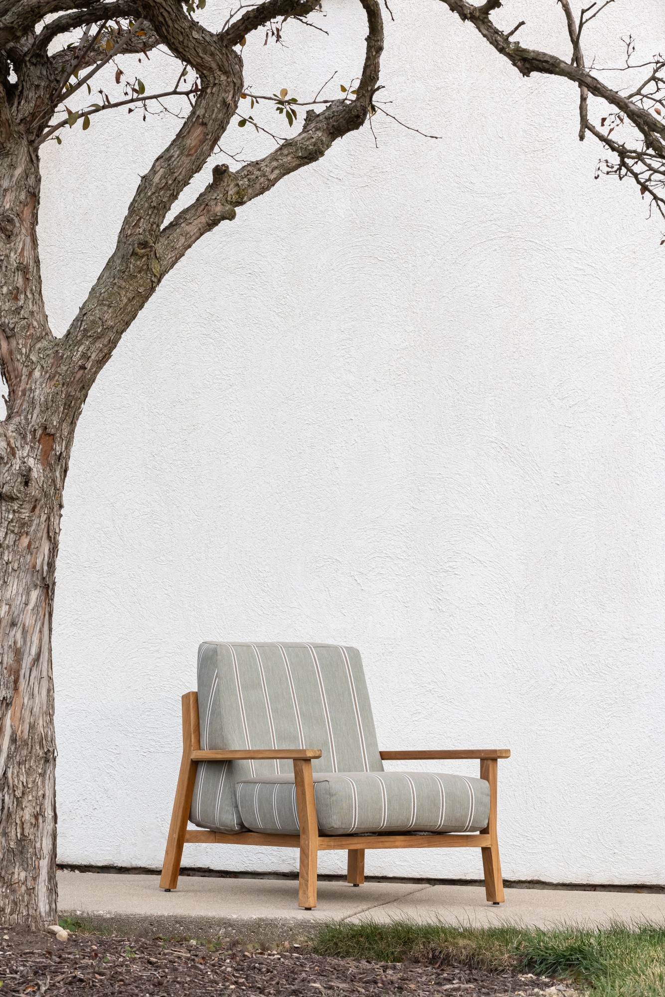 1216-04 Yori Aerophyte, 9660-03 Pappus Beige Lop Installation Image