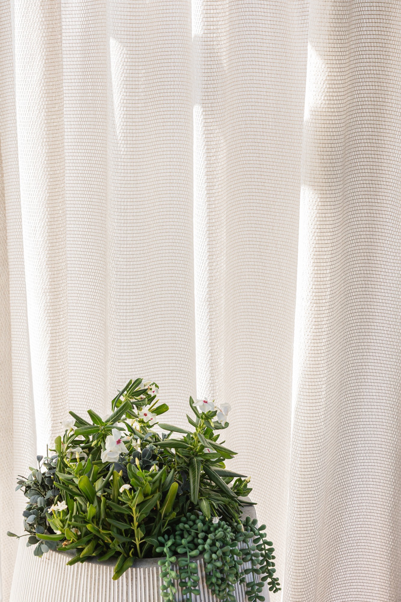 1265-01 Suncatcher - Snowdrop Installation Image 