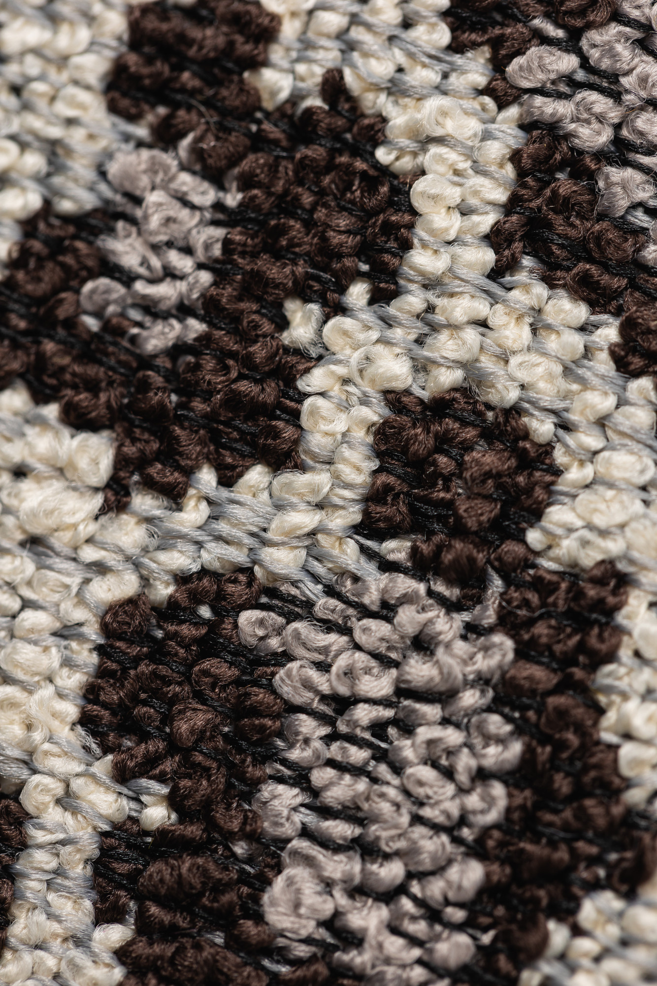 2327-02 Rosette Spotted Xolo Hero Image