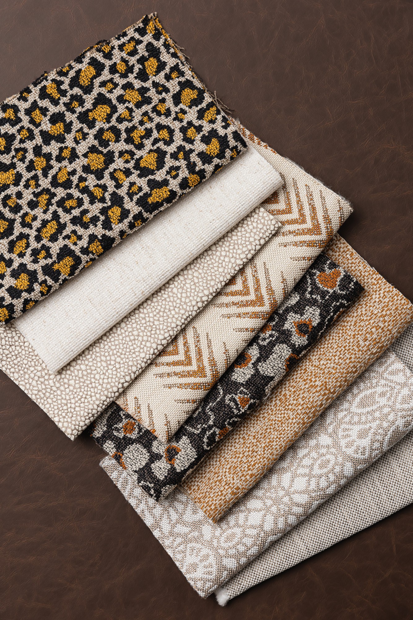 Beautiful Species Collection Hero Image