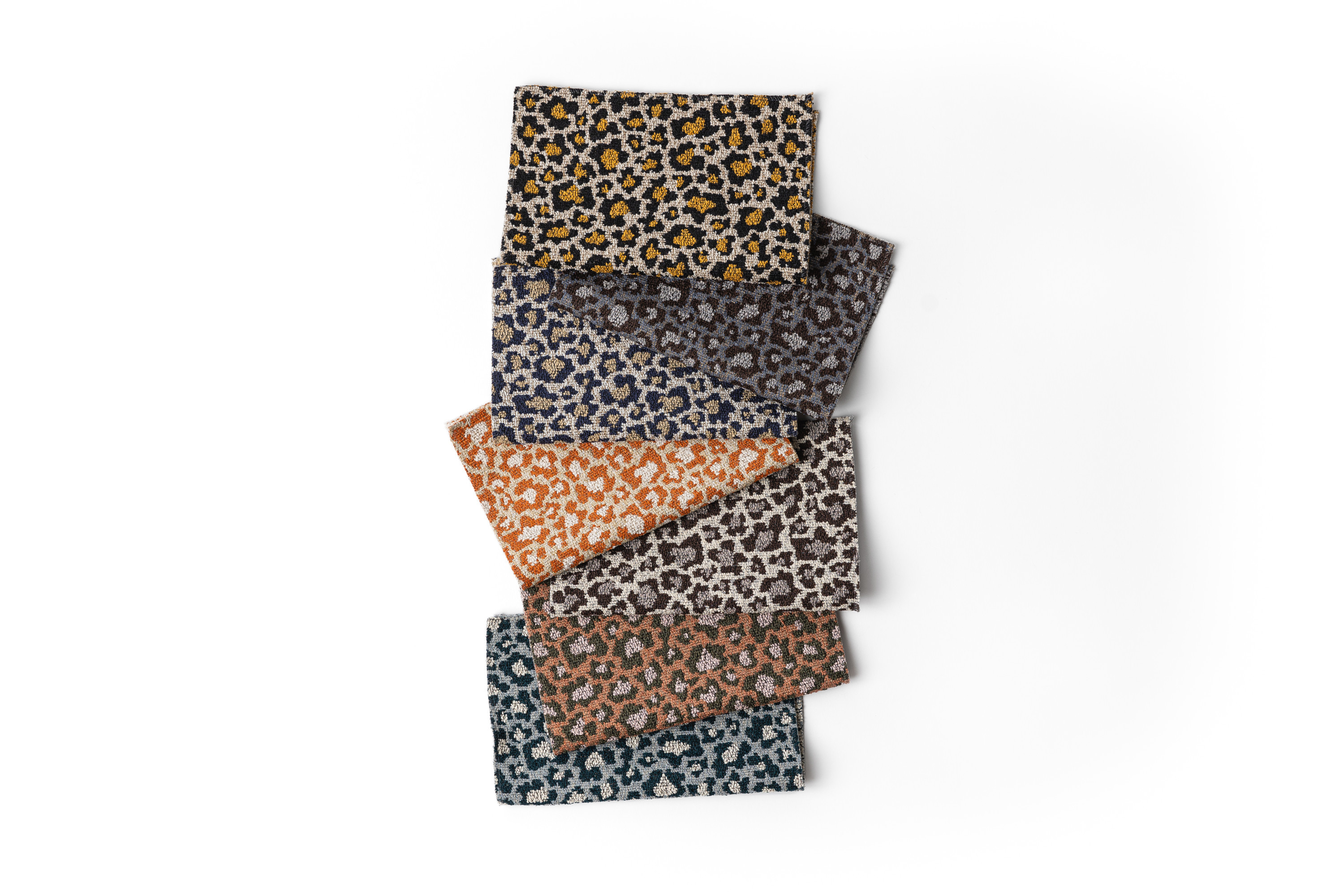 2327 Rosette Teal Alcides, Pink Fittonia, Spotted Xolo, Goldfish, Blueberry Muffin, Night Owl, Leopard Hero Image