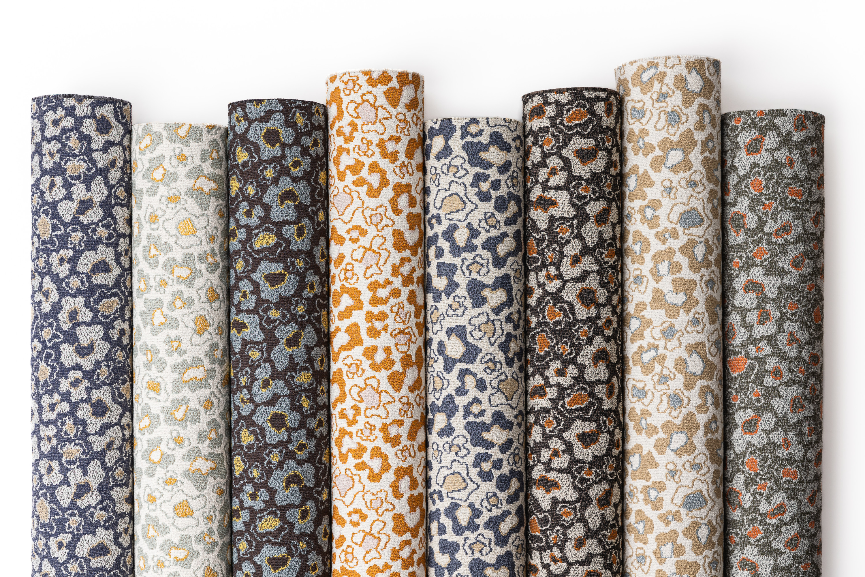 2328 Tulliana Blue Mussel, Pastel Parakeet, Zodiac Moth, Orange Tabby, Blue Heon, Ocelot, Gedi Beach, Olive Martini Hero Image