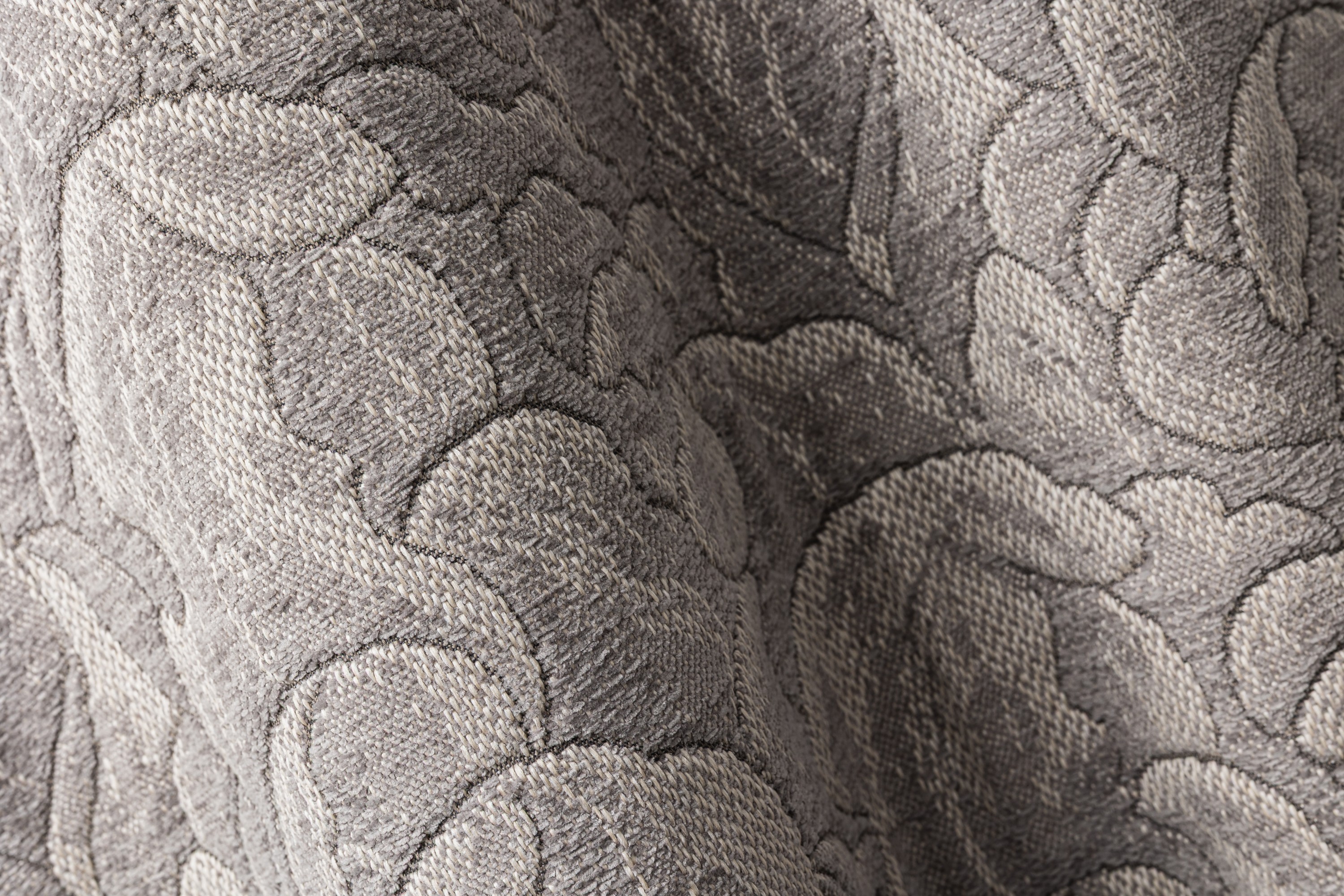 4355-04 Daylily - Northern Mockingbird Hero Image