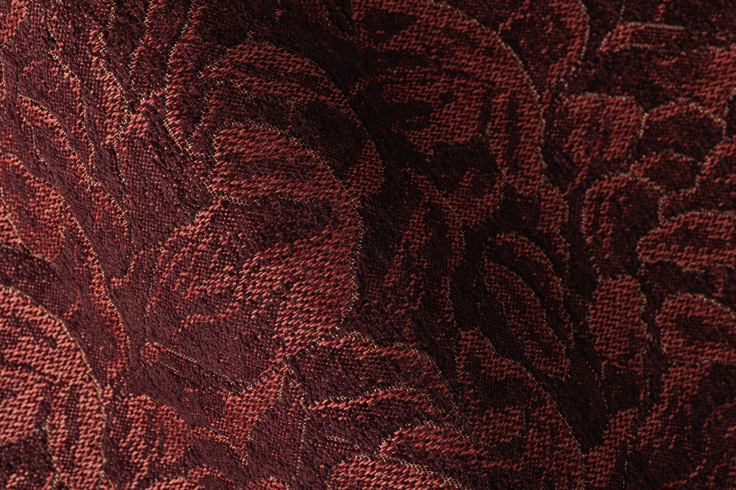 4355-08 Daylily - Chipotle Pepper Hero Image