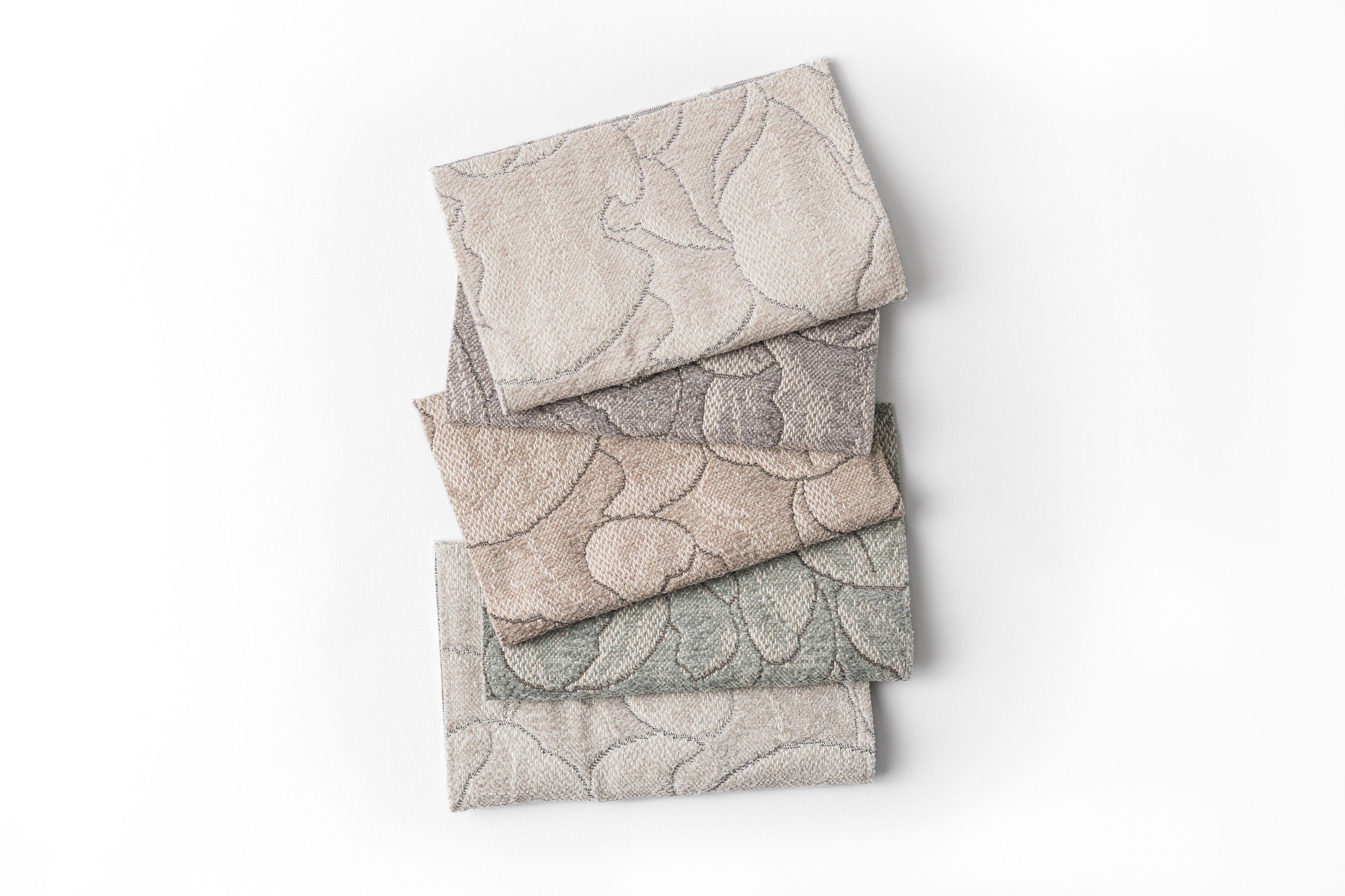 4355 Daylily Marzipan, Northern Mockingbird, Chai Latte, Jade, Ostrea Hero Image