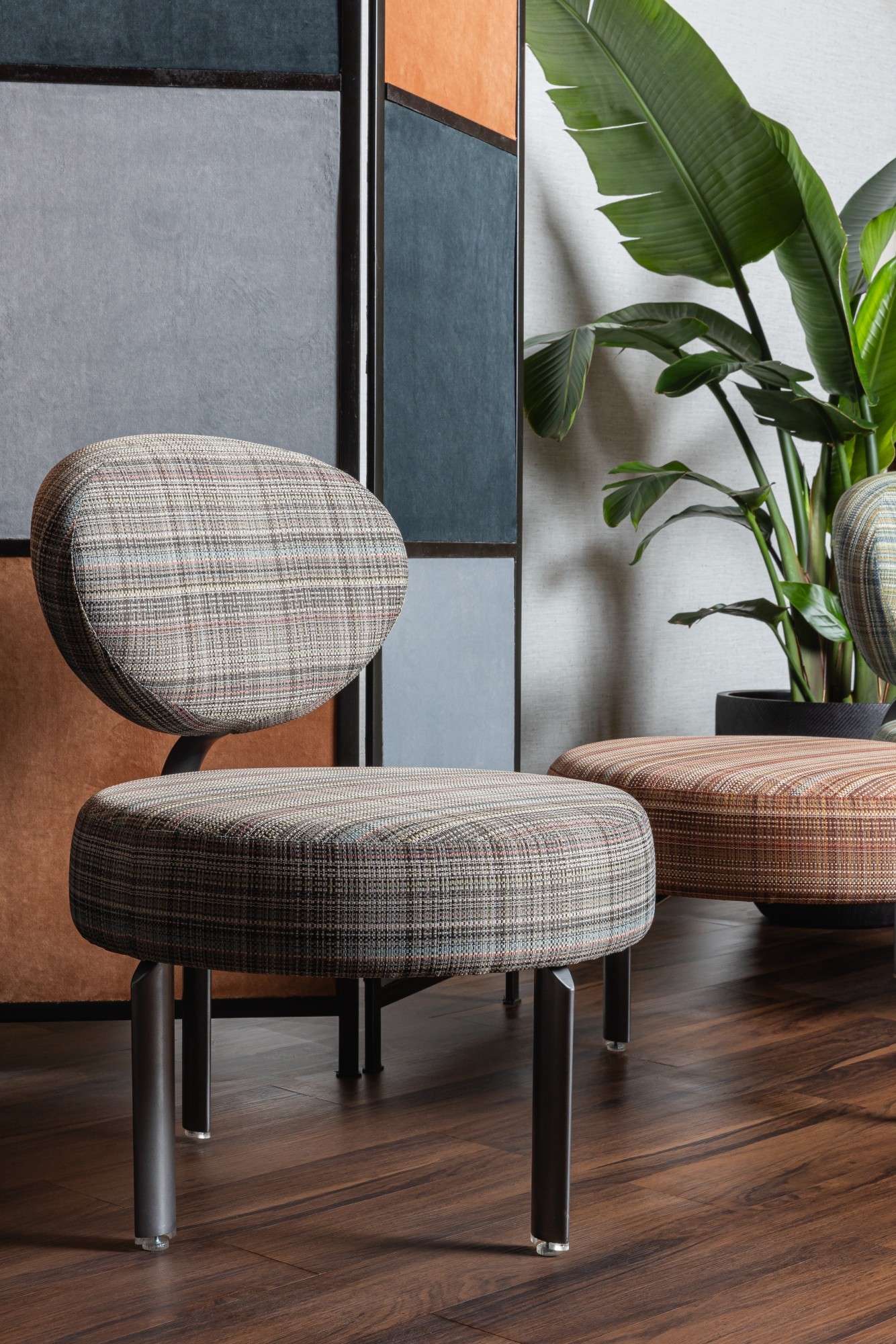 4521-06 Sonata Blue-Eyed Bengal, 4521-05 Sonata Canyonlands Installation Image