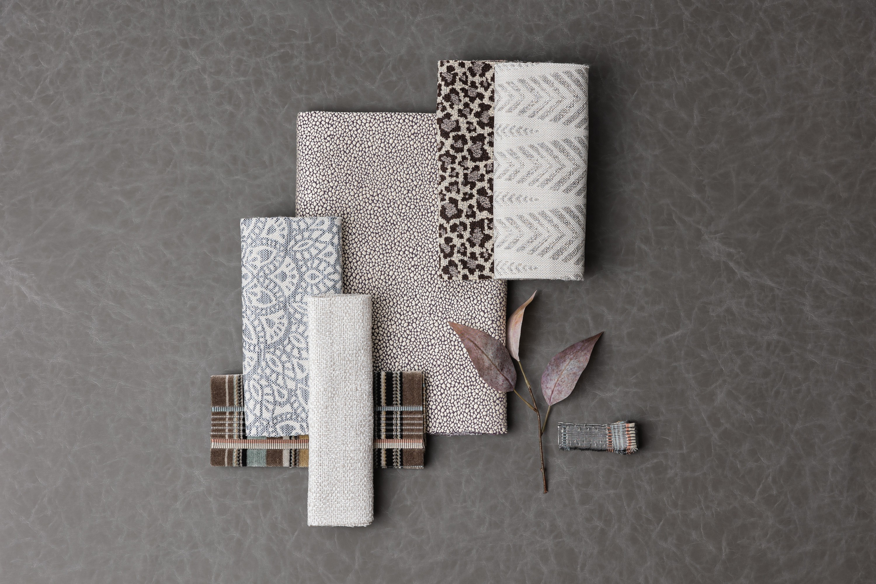 5013-01 Longji - Blue-Eyed Bengal, 8351-03 Lotus - Ice Crystals, 6507-01 Stellula - Ski Slope, 7527-04 Stampede Quail Egg, 2327-02 Rosette Spotted Xolo, 8352-01 Calathea - Dove Hero Image