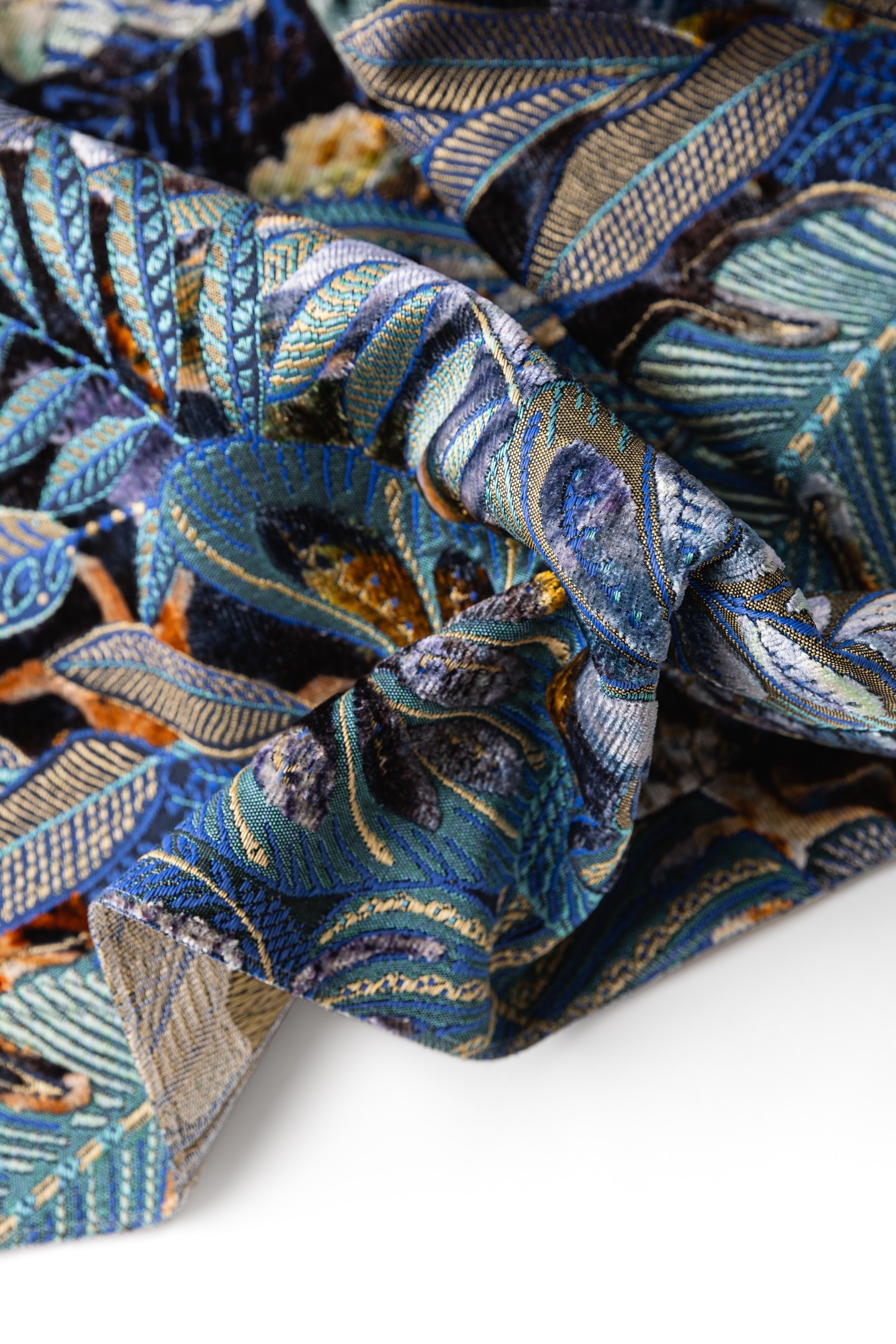 5014-04 Daintree Aquarium Hero Image