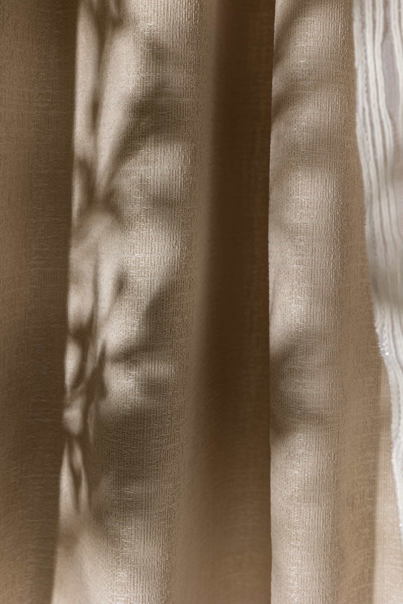 7555 Altair Sand Dollar, Buttermlik, 3110 Circadian Coquito Hero Image