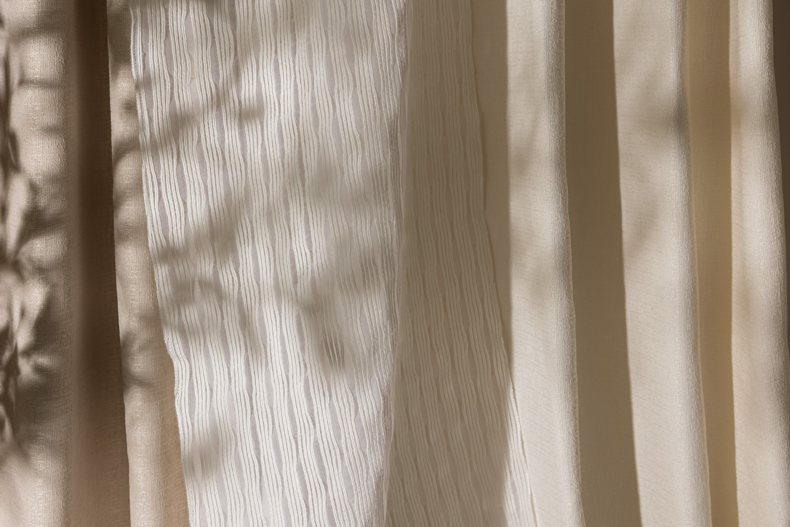 7555 Altair Sand Dollar, Buttermlik, Pure Dove Hero Image