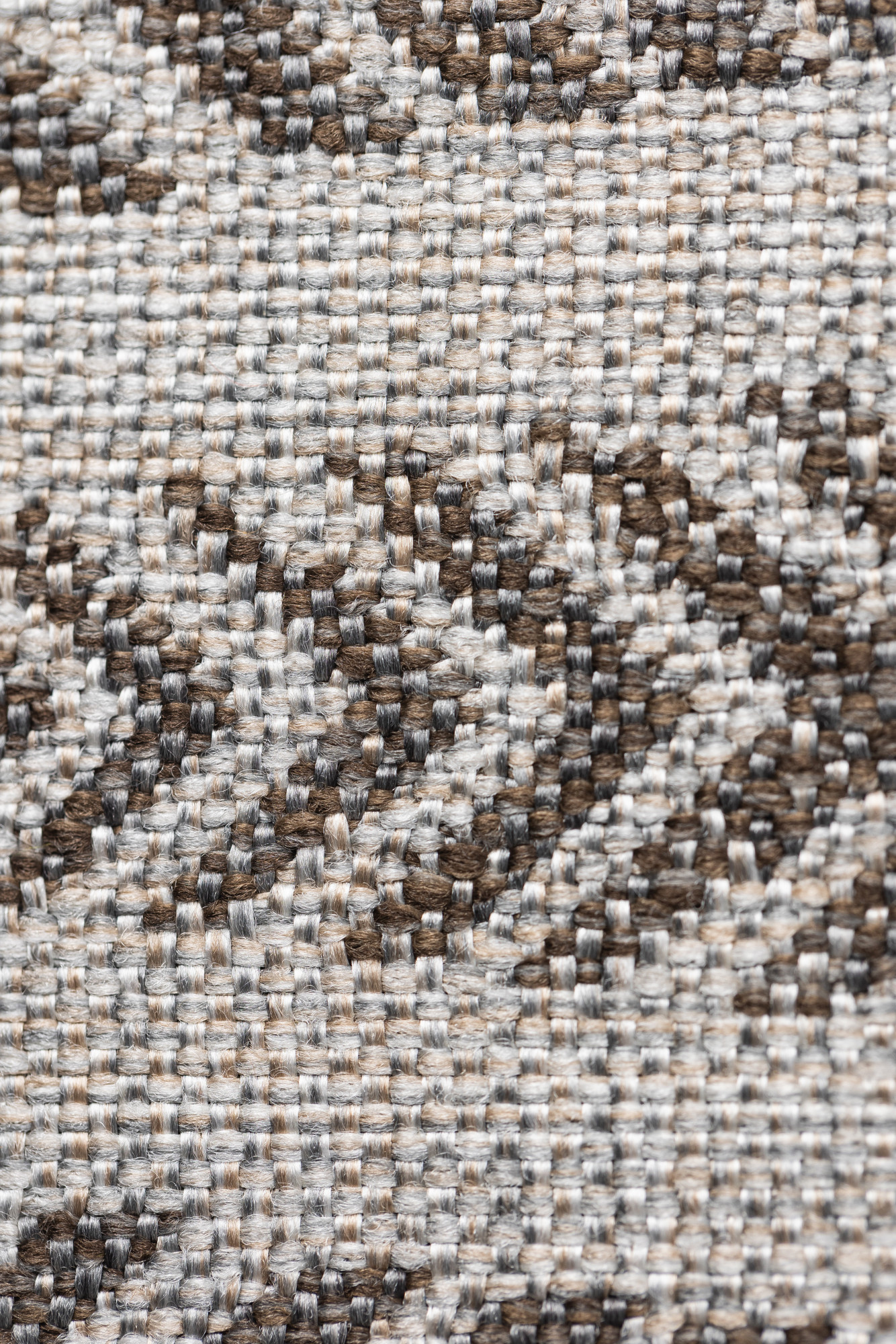 8352 Calathea - Kindling Wood Hero Image